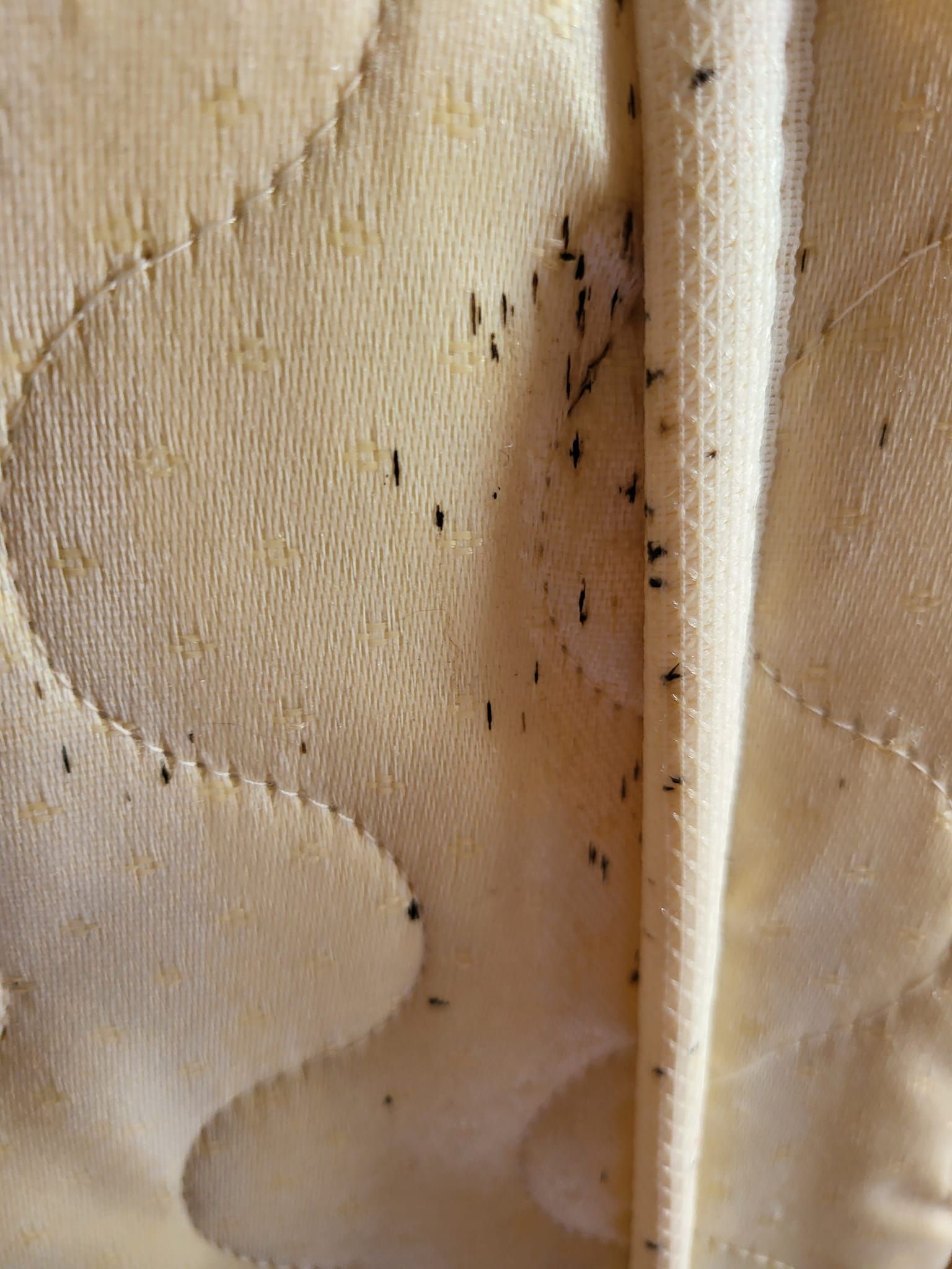 Close-up of beige fabric with scattered small black specks along a seam