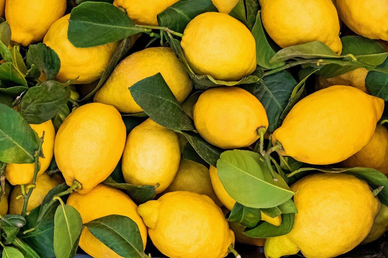 limoni