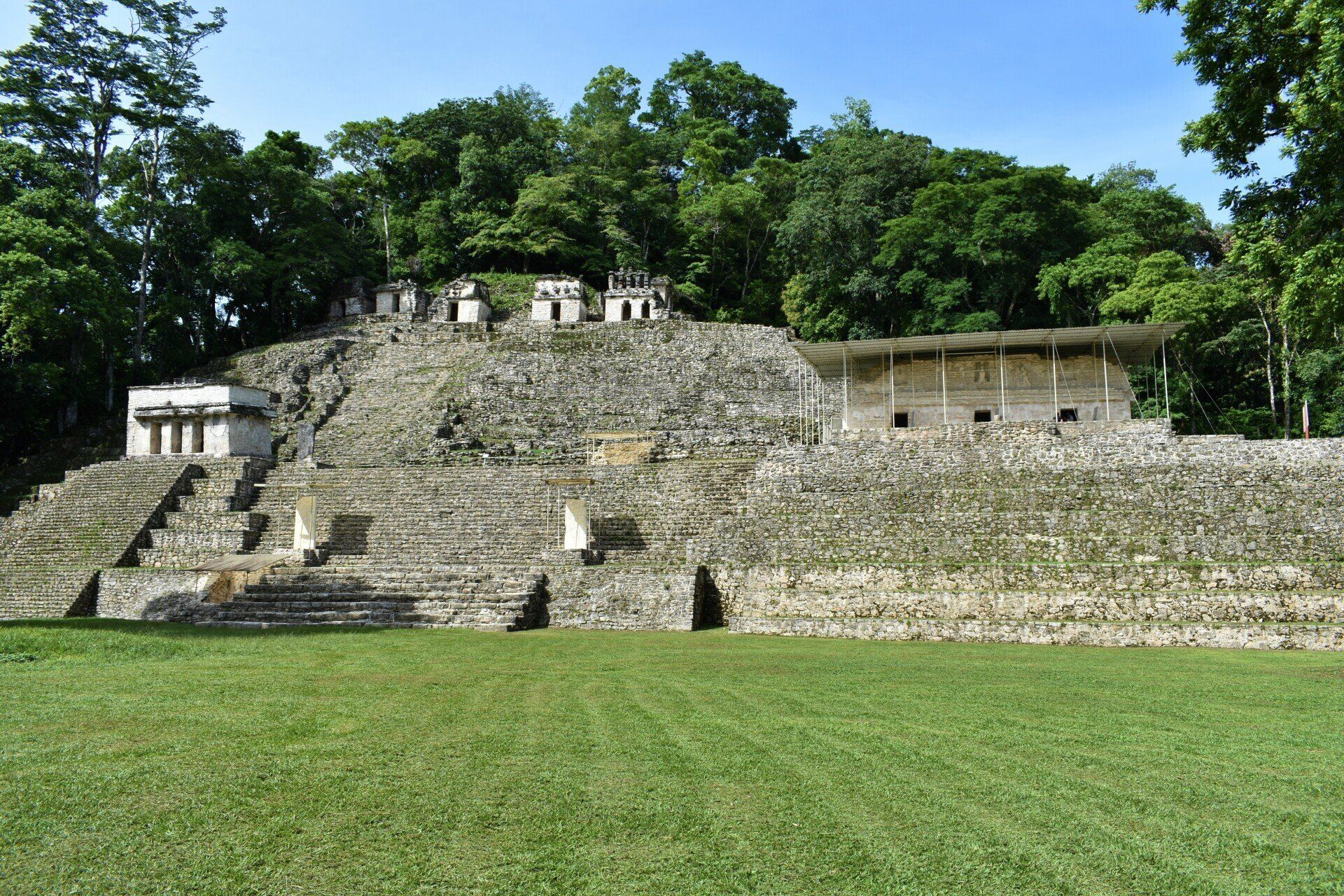 Un gran anfiteatro de piedra rodeado de césped y árboles.