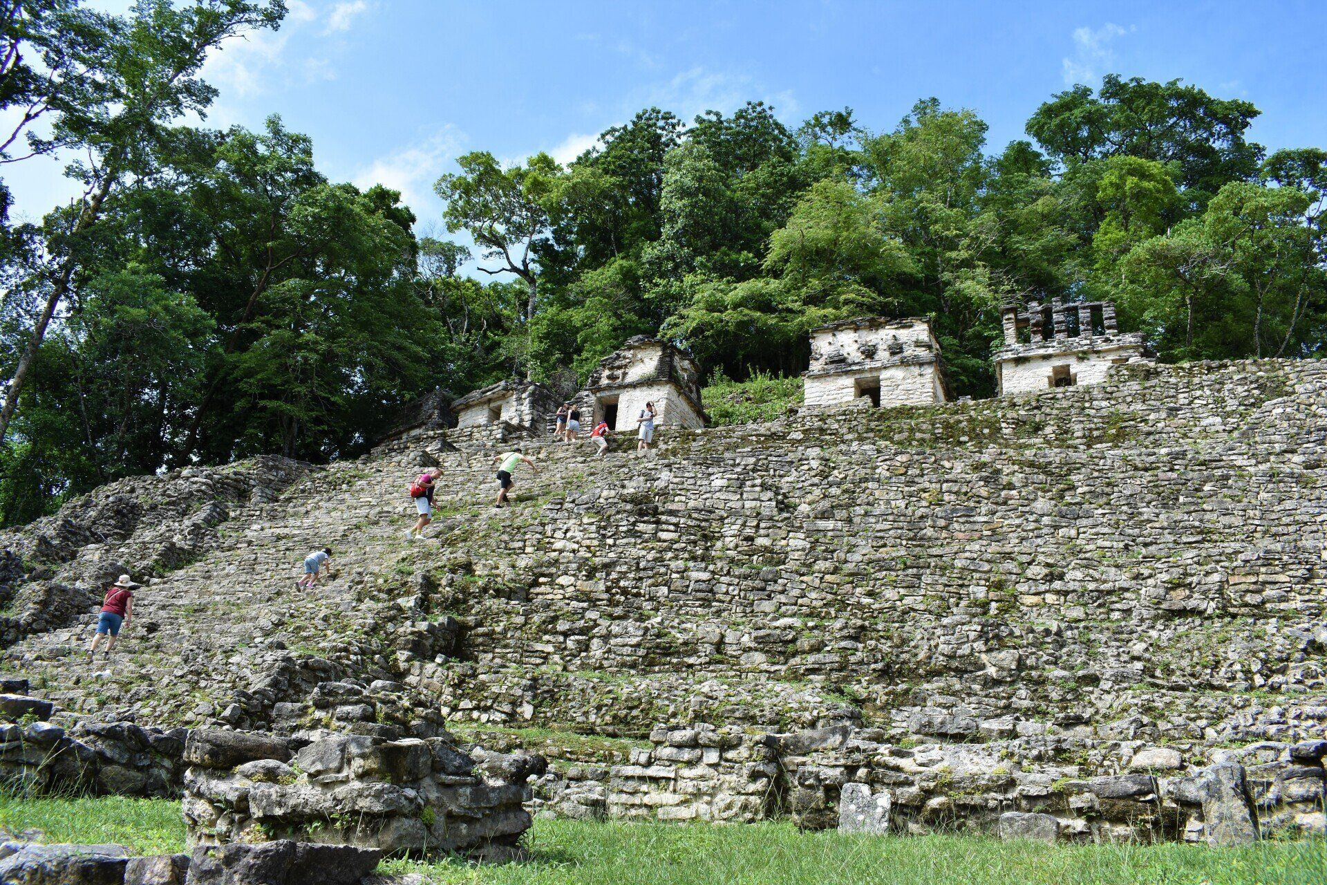 Pirámide histórica de la Zona Arqueológica de Palenque