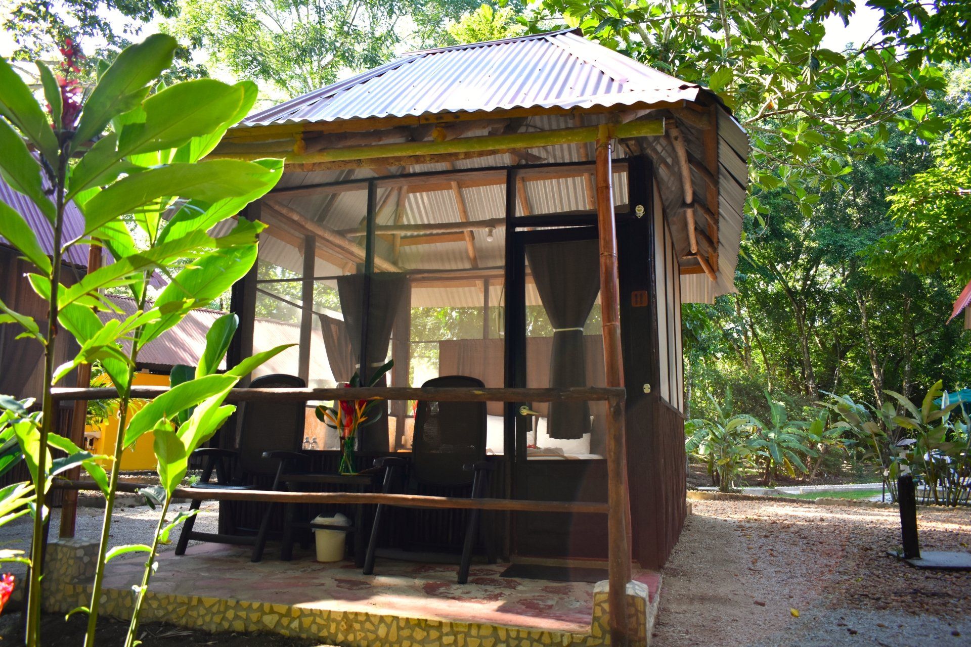 Una pequeña casa en medio de un exuberante bosque verde.