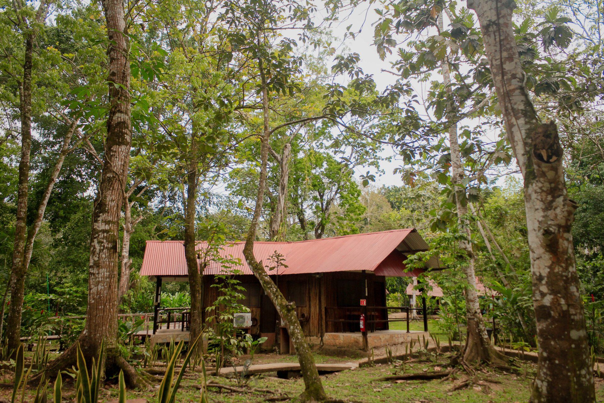 Una pequeña casa con techo rojo en medio de un bosque.