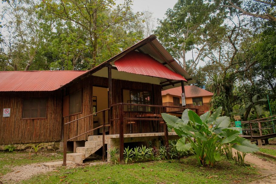 Una pequeña casa de madera con techo rojo está rodeada de árboles.