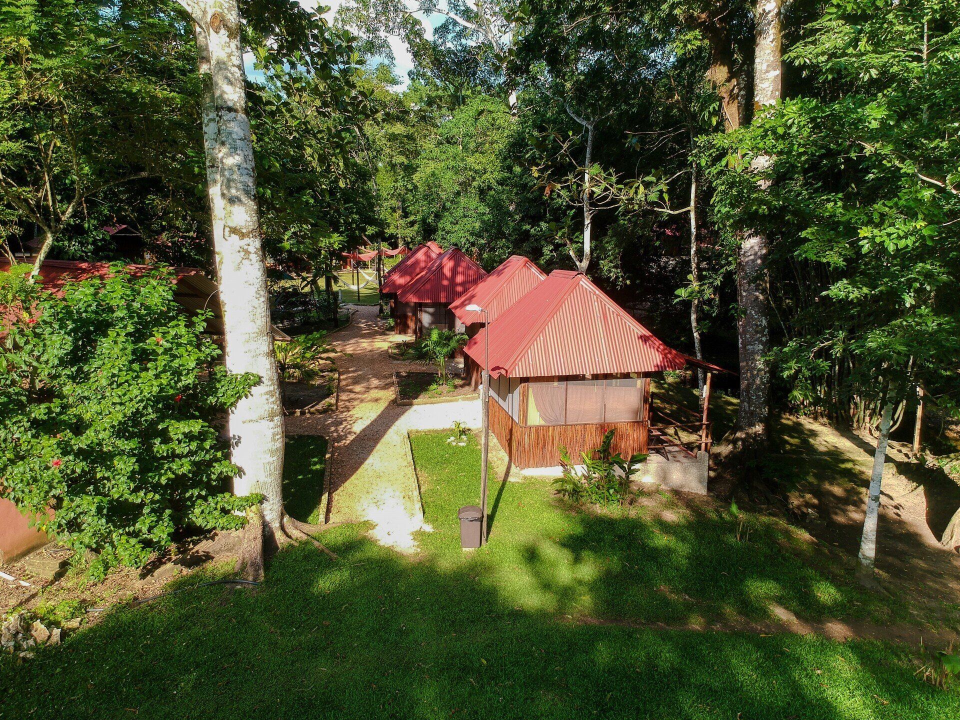 Una vista aérea de una pequeña casa en medio de un bosque.
