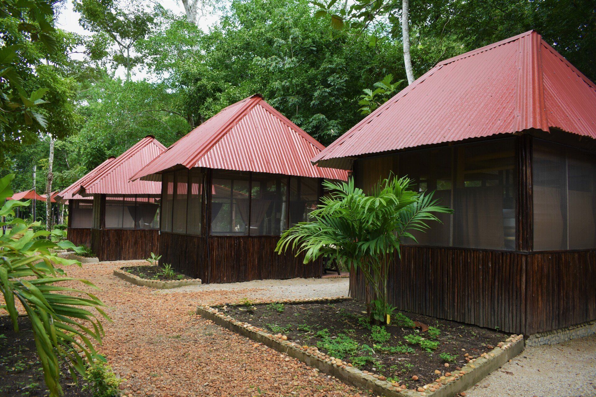 Una hilera de pequeñas casas de madera con techos rojos en medio de un bosque.
