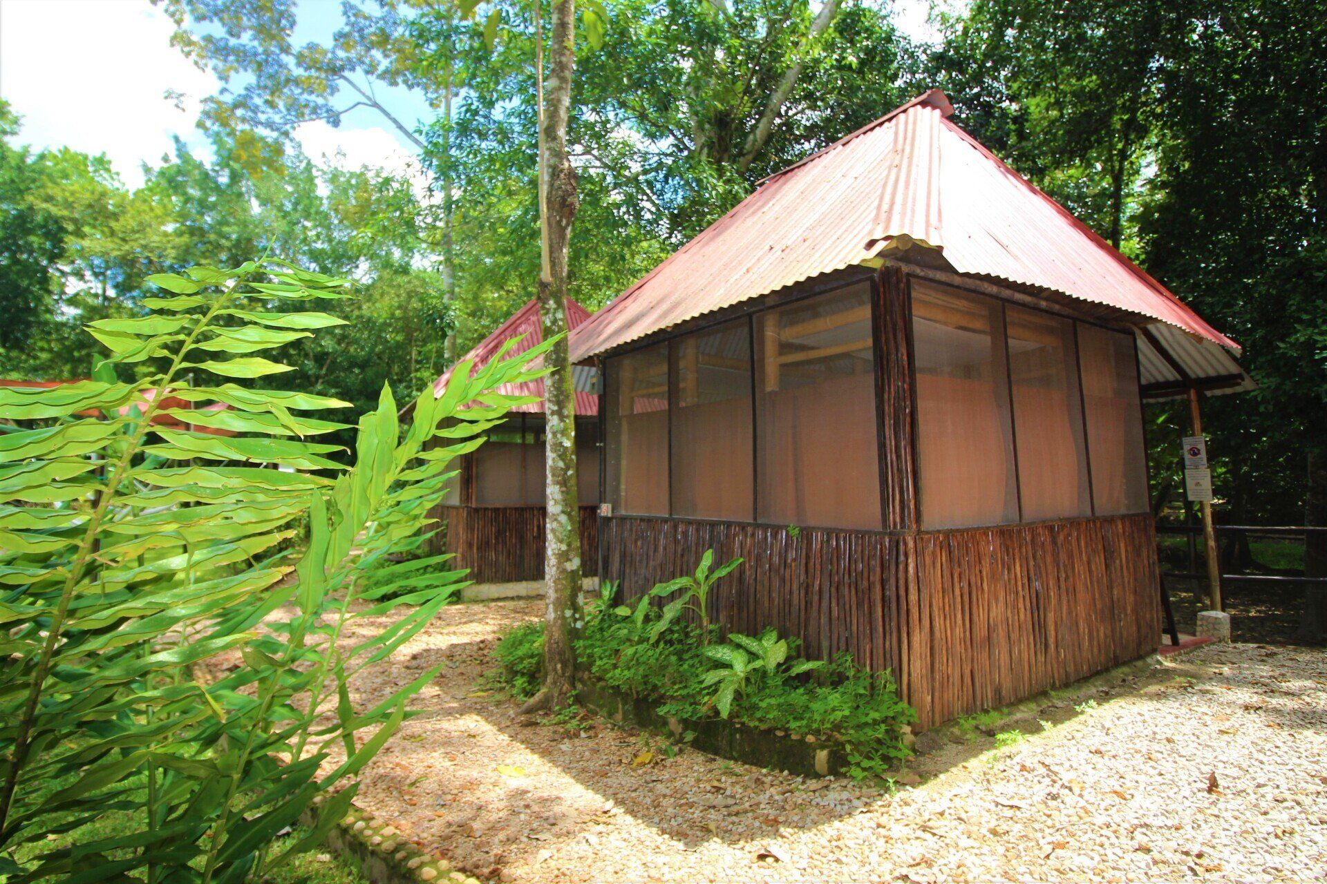 Una pequeña casa de madera con techo rojo en medio de un bosque.
