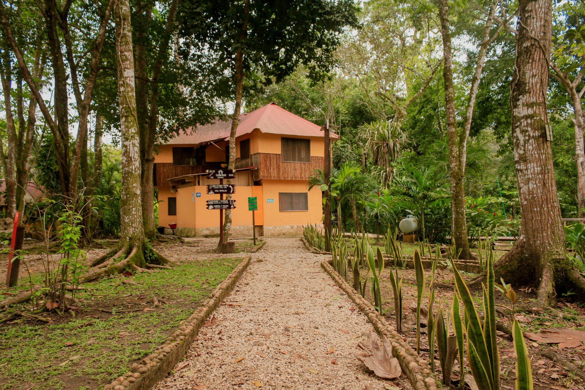 Una casa en medio de un bosque con un camino de tierra que conduce a ella.