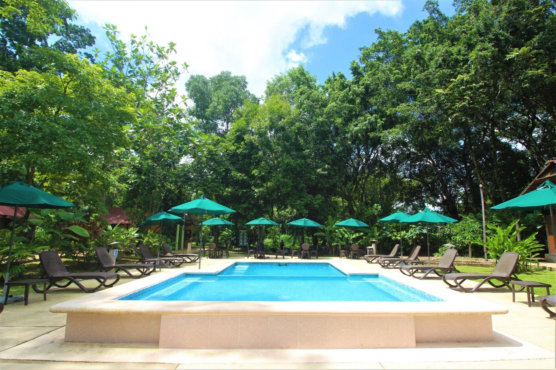 Una gran piscina rodeada de sillas y sombrillas.