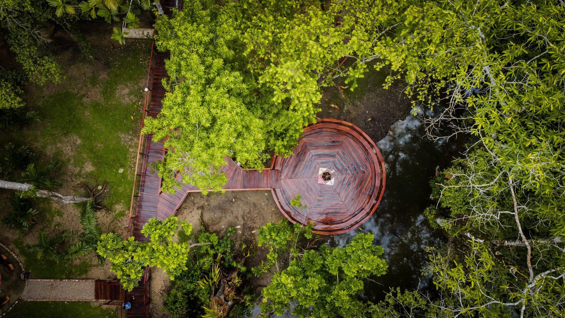 Una vista aérea de una fuente en medio de un parque rodeado de árboles.