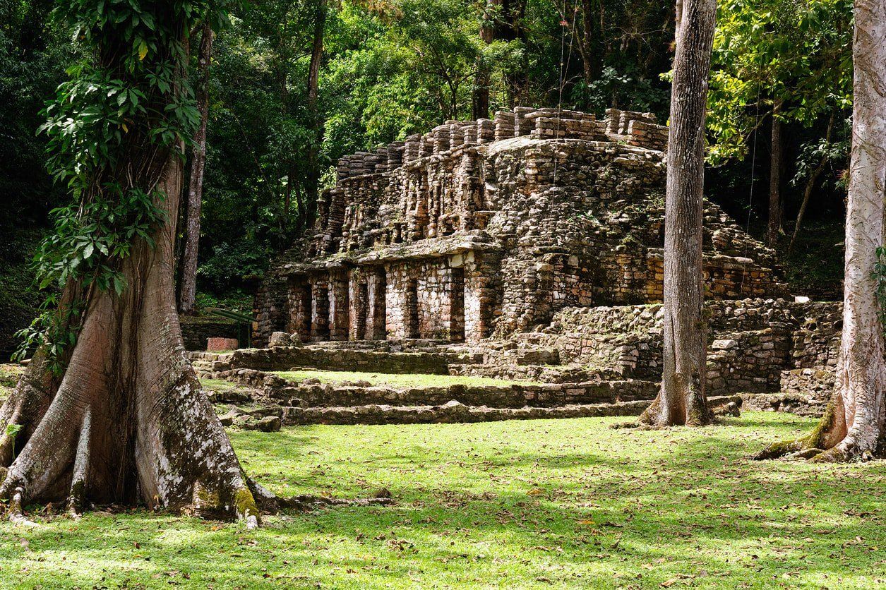Vista del edificio de piedra en zona arqueologica de palenque