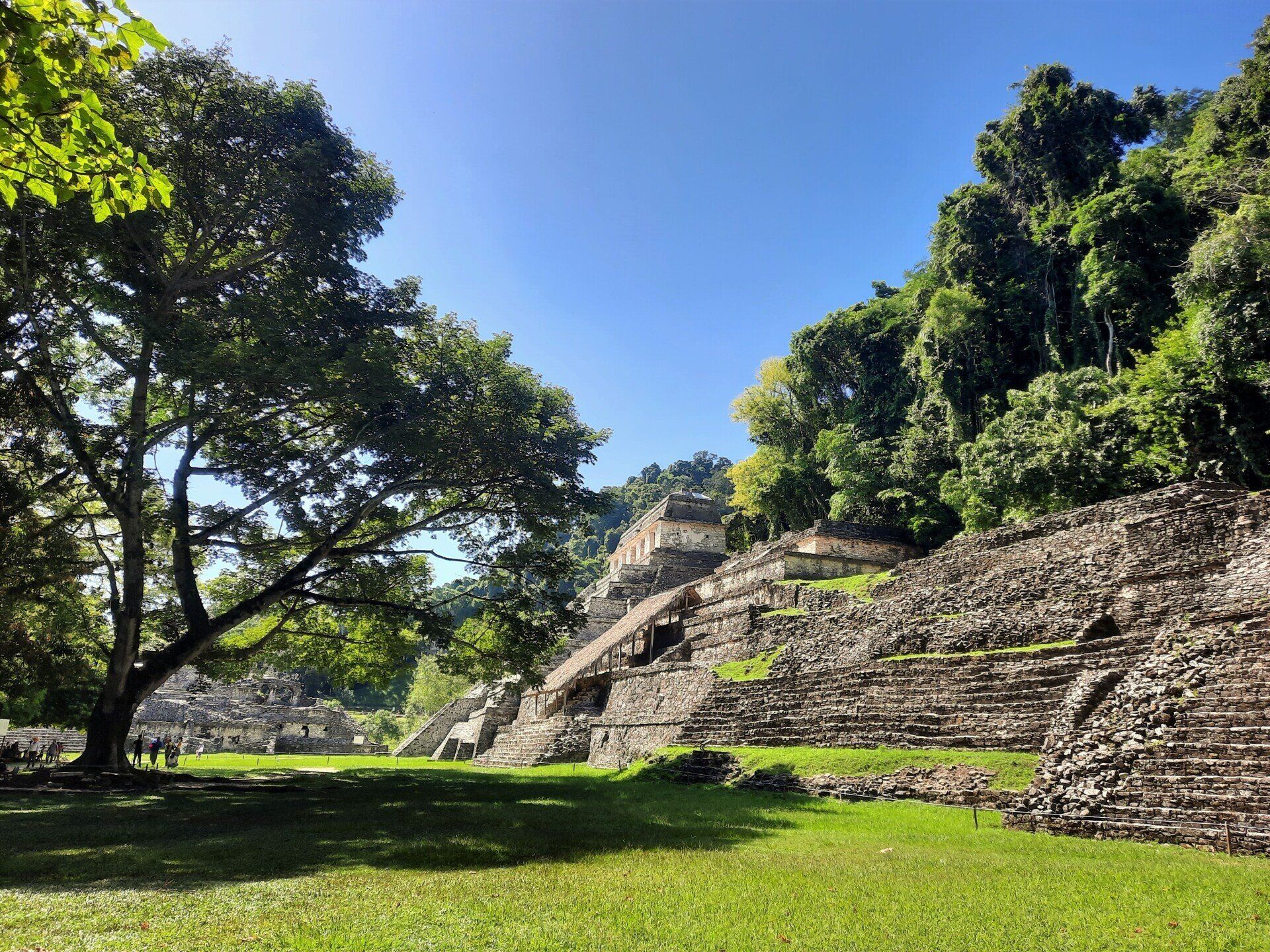 Piràmides espectaculares en Palenque