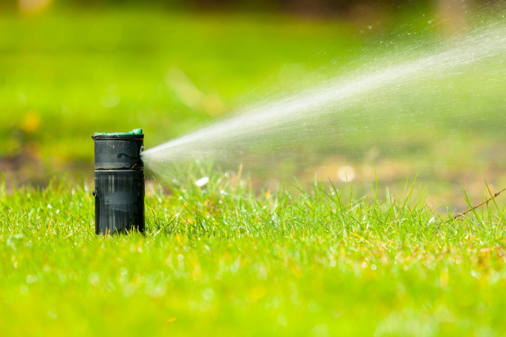 A lawn sprinkler spraying a stream of water onto a green grass field.