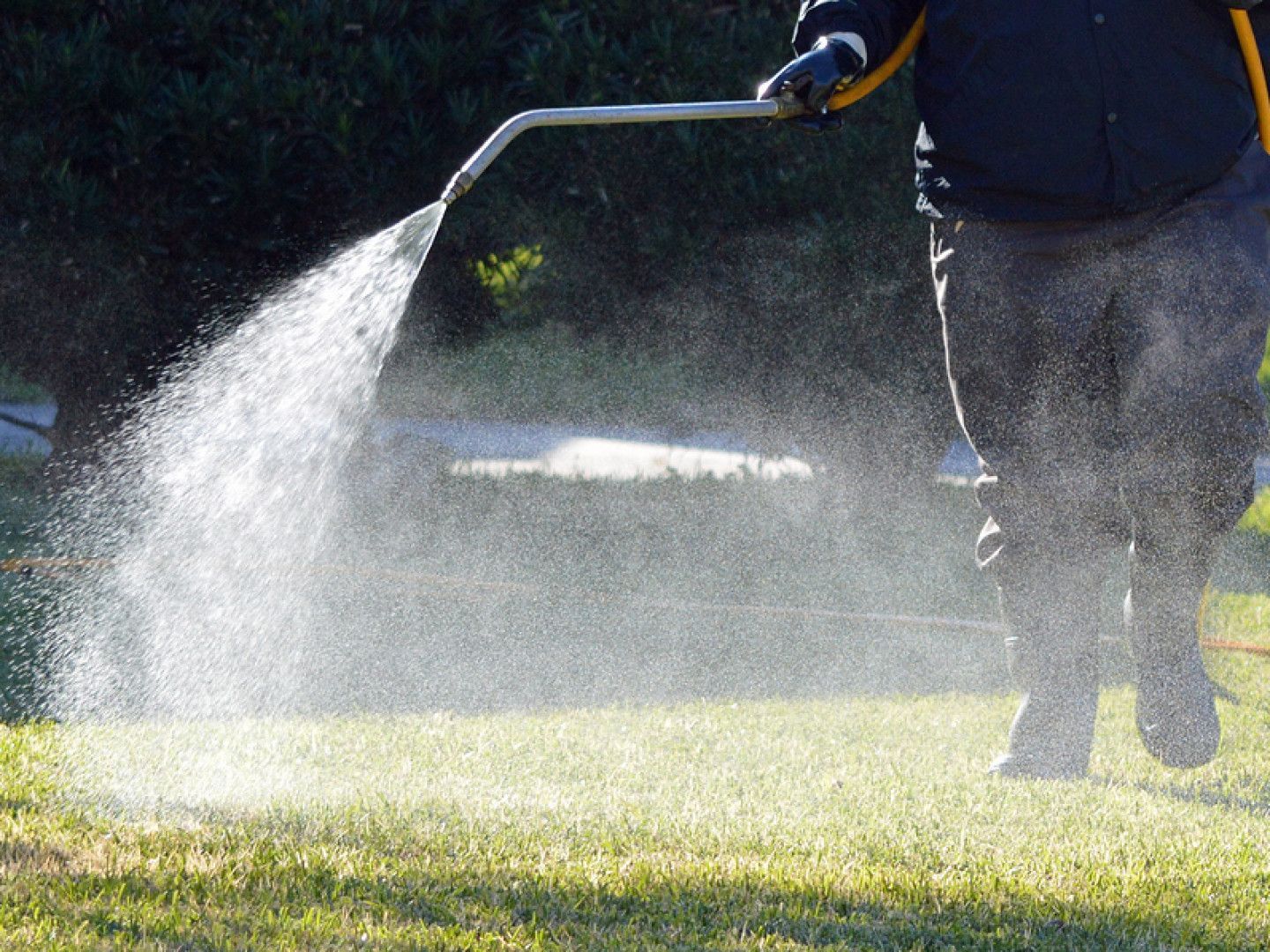 A lawn sprinkler spraying a stream of water onto a green grass field.