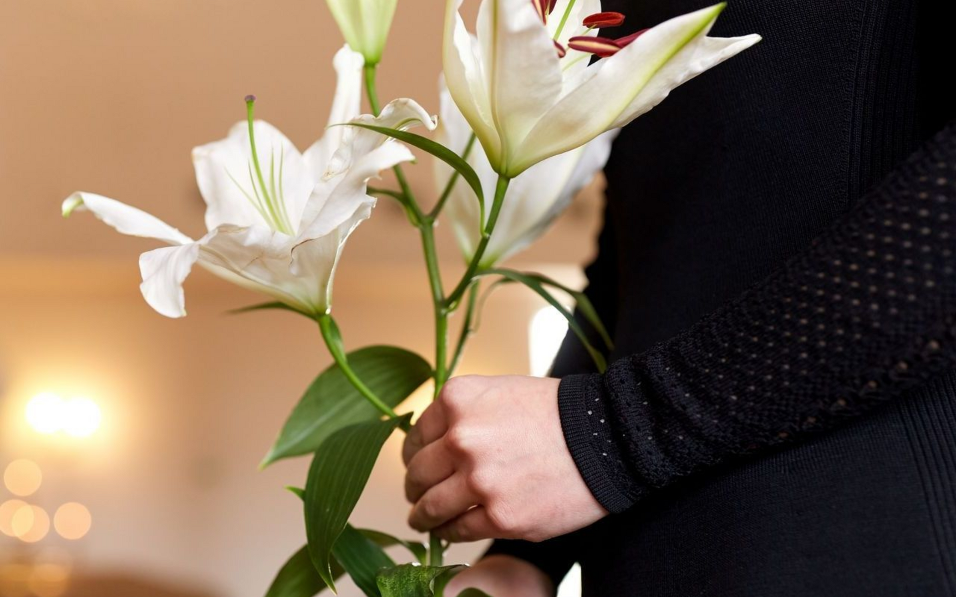 Nolan Fidale Funeral Homes