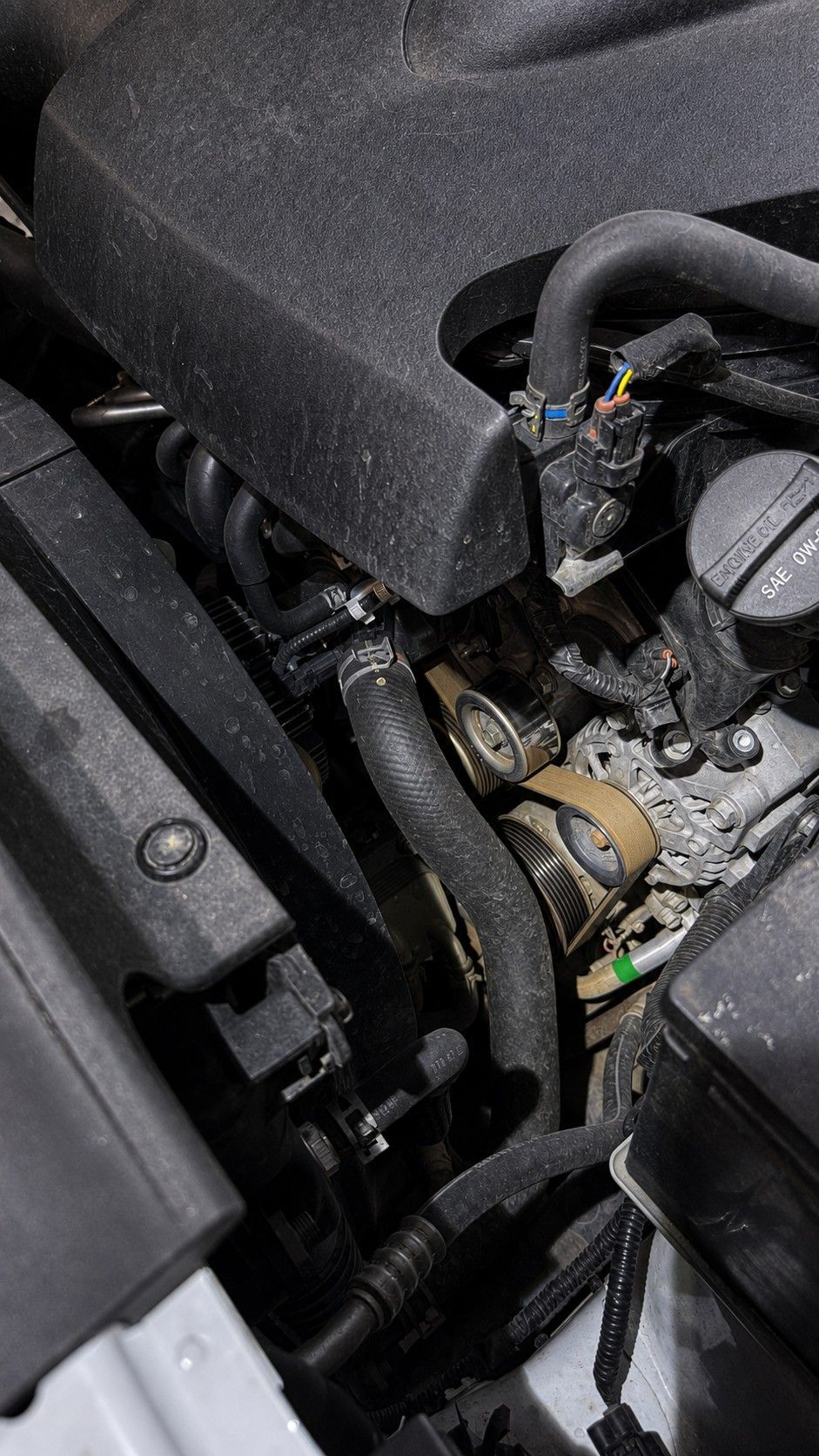 Belt & Hose Inspection and Replacement in Hawaii
