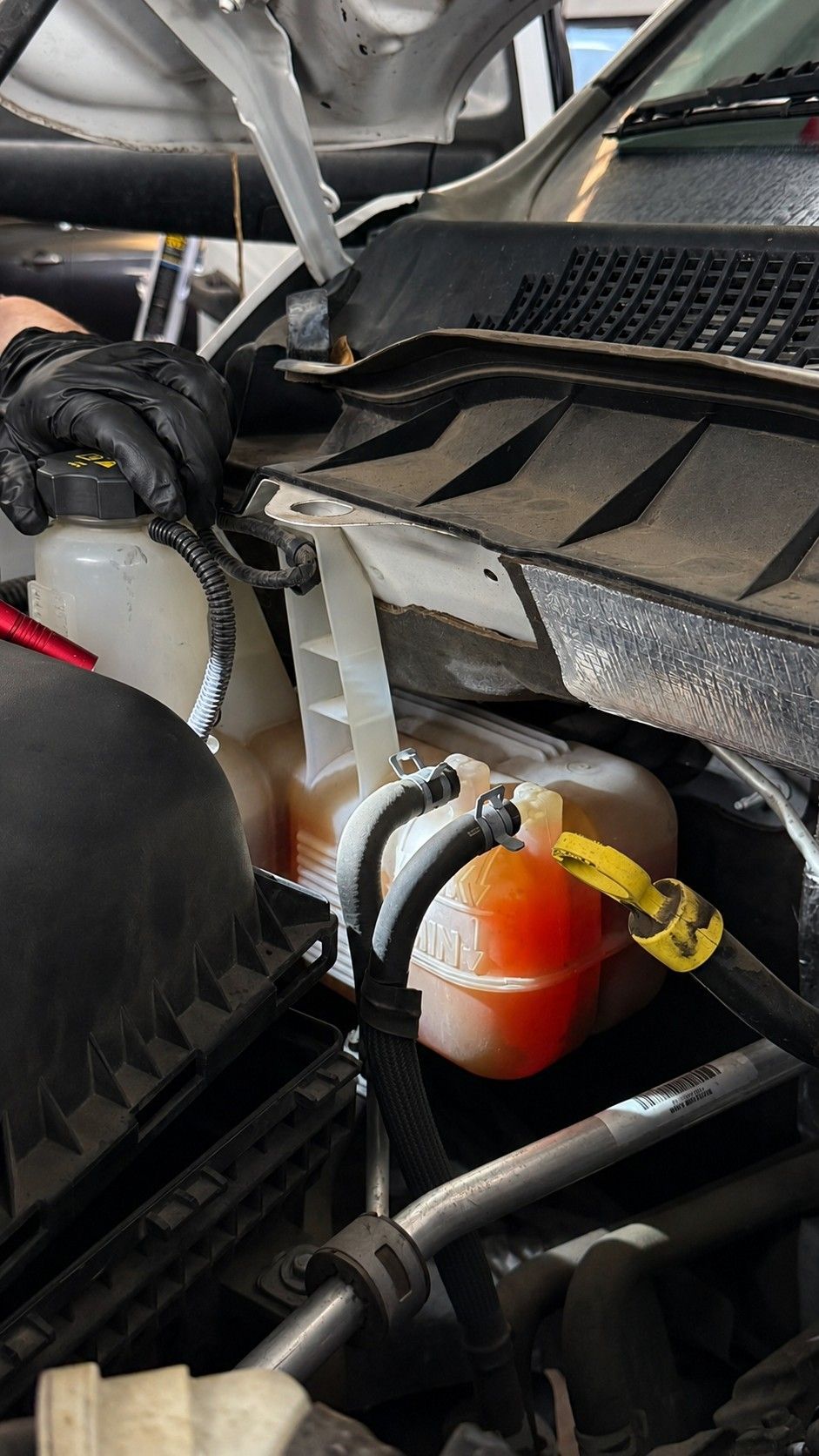 Fluid Level Check Service for Every Vehicle