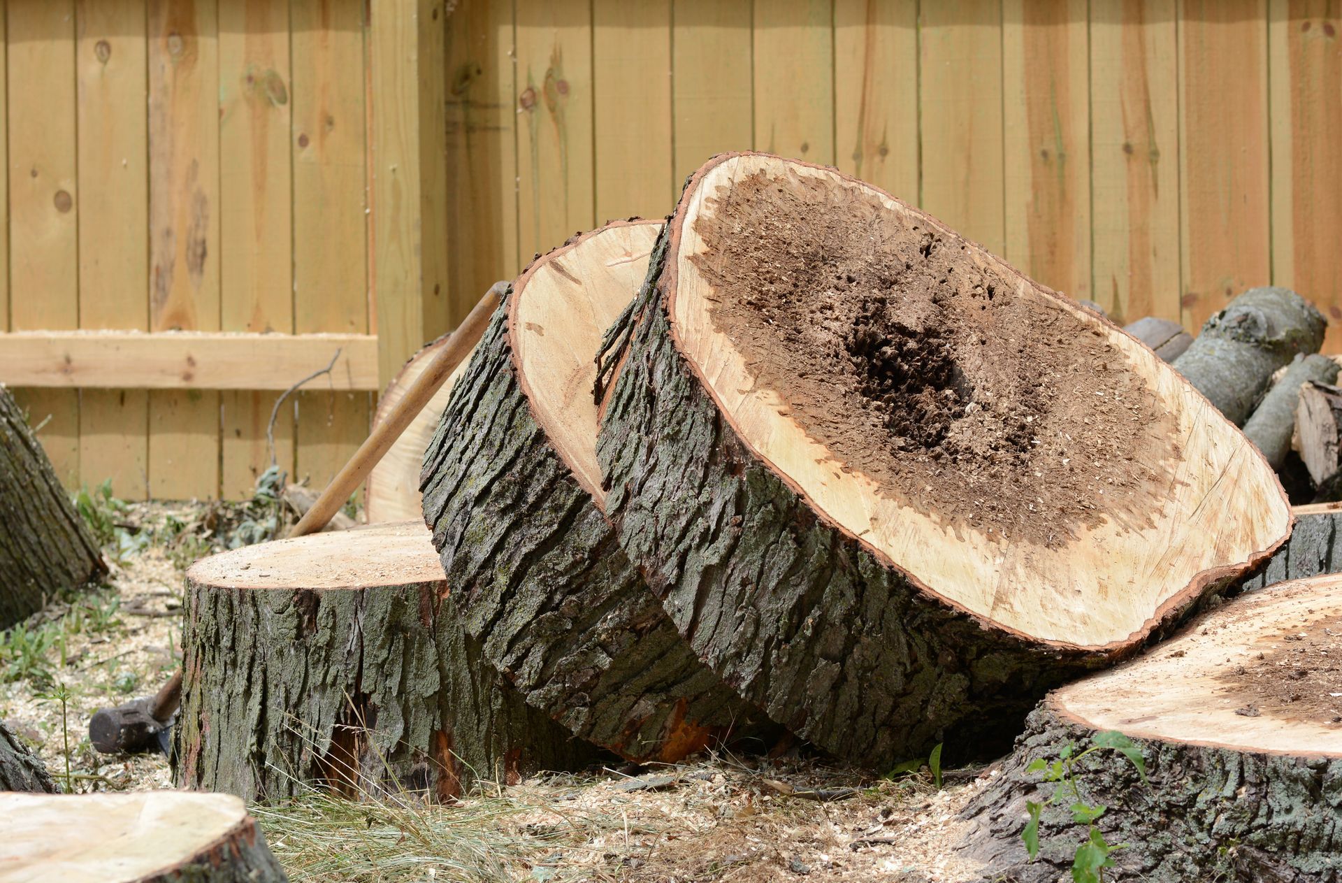 A pile of tree stumps sitting next to a wooden fence.