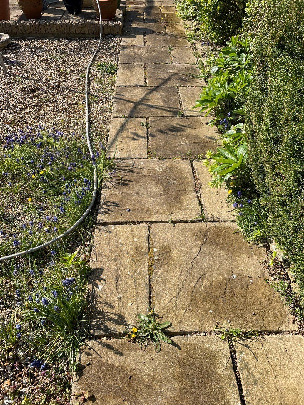 BEFORE Patio Clean