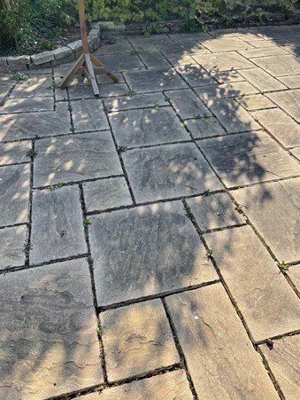 Before Patio Clean