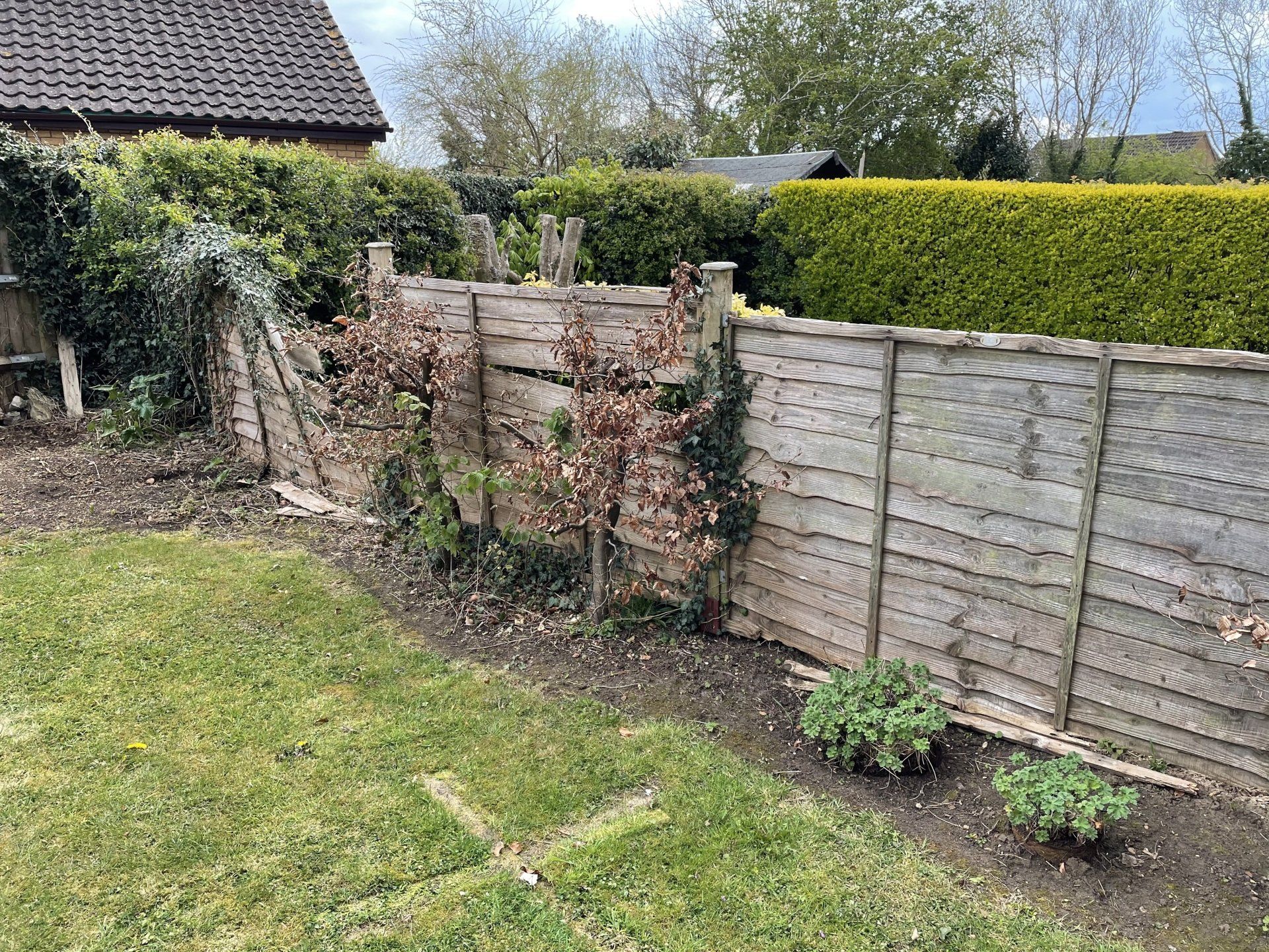 Broken Fence