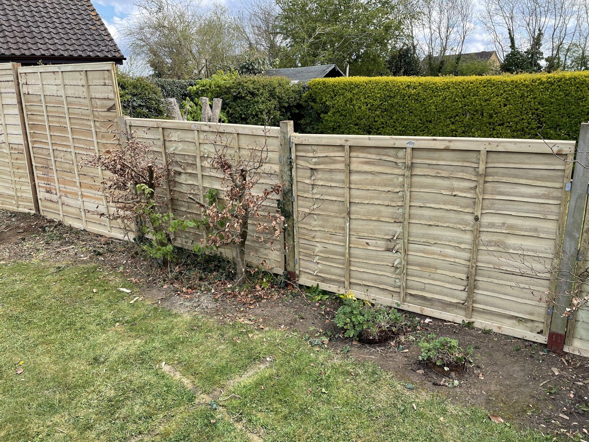 New Fence