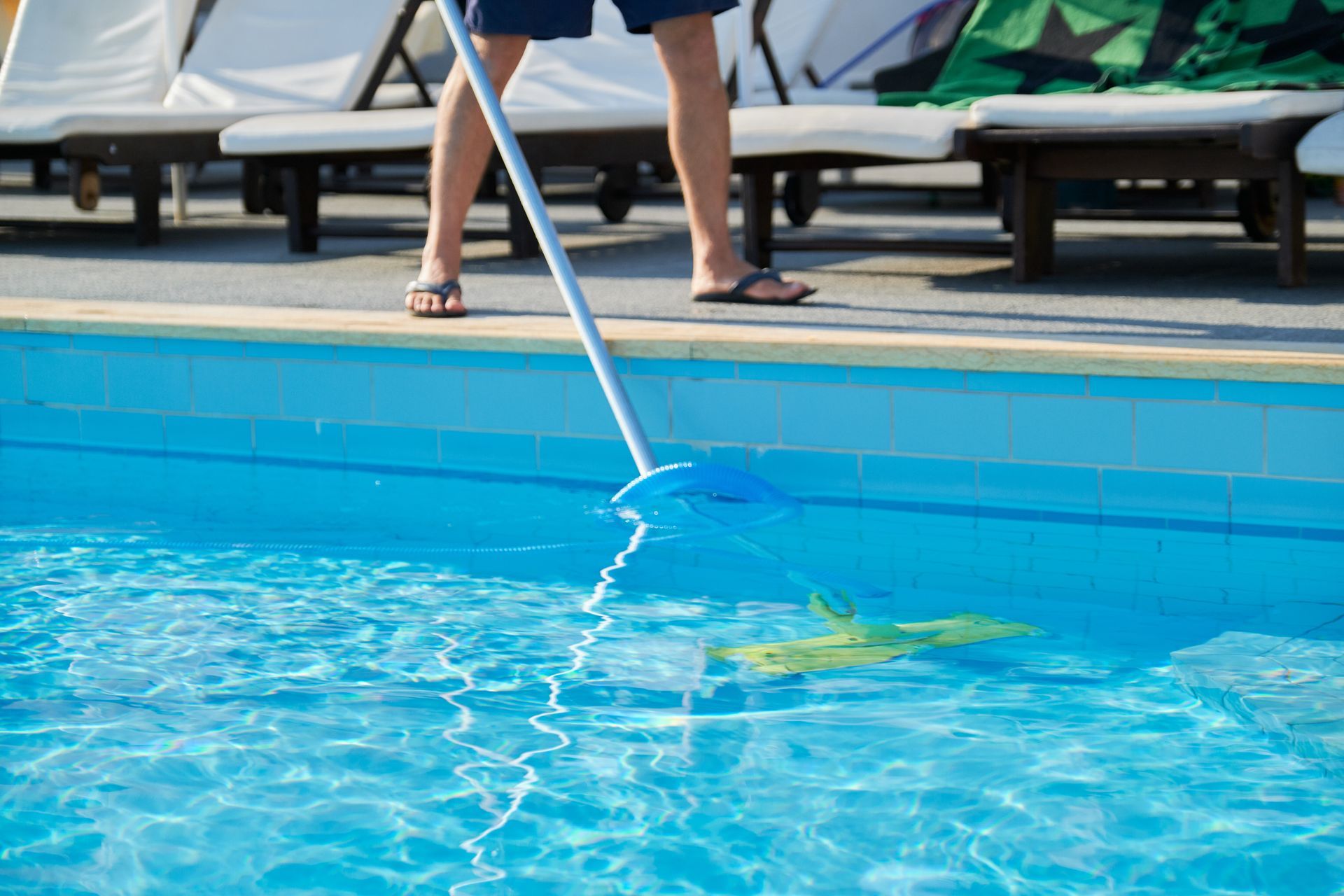 Piscine avec eau verte causée par des algues avant traitement - conseil entretien Blue Conception
