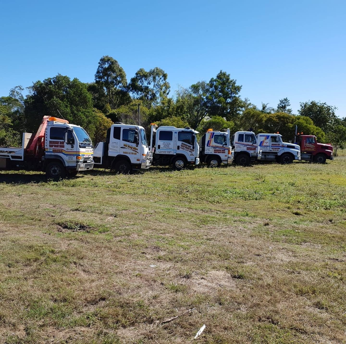 A Row of Trucks Are Parked in a Grassy Field — Hervey Bay Tilt Tray Hire In Takura, QLD