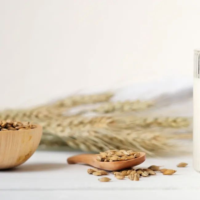 A wooden spoon filled with wheat grains next to a bowl of wheat grains and a glass of milk.