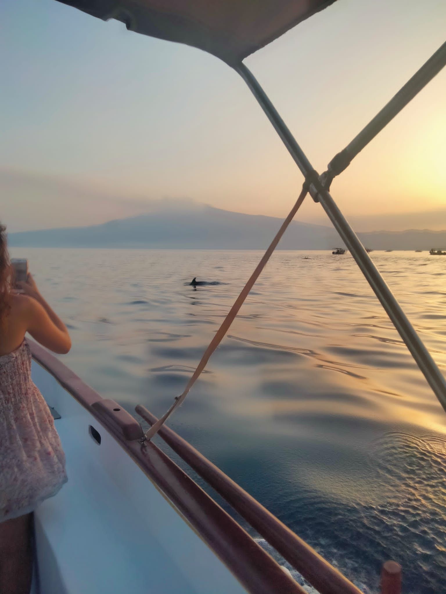 delphin tour