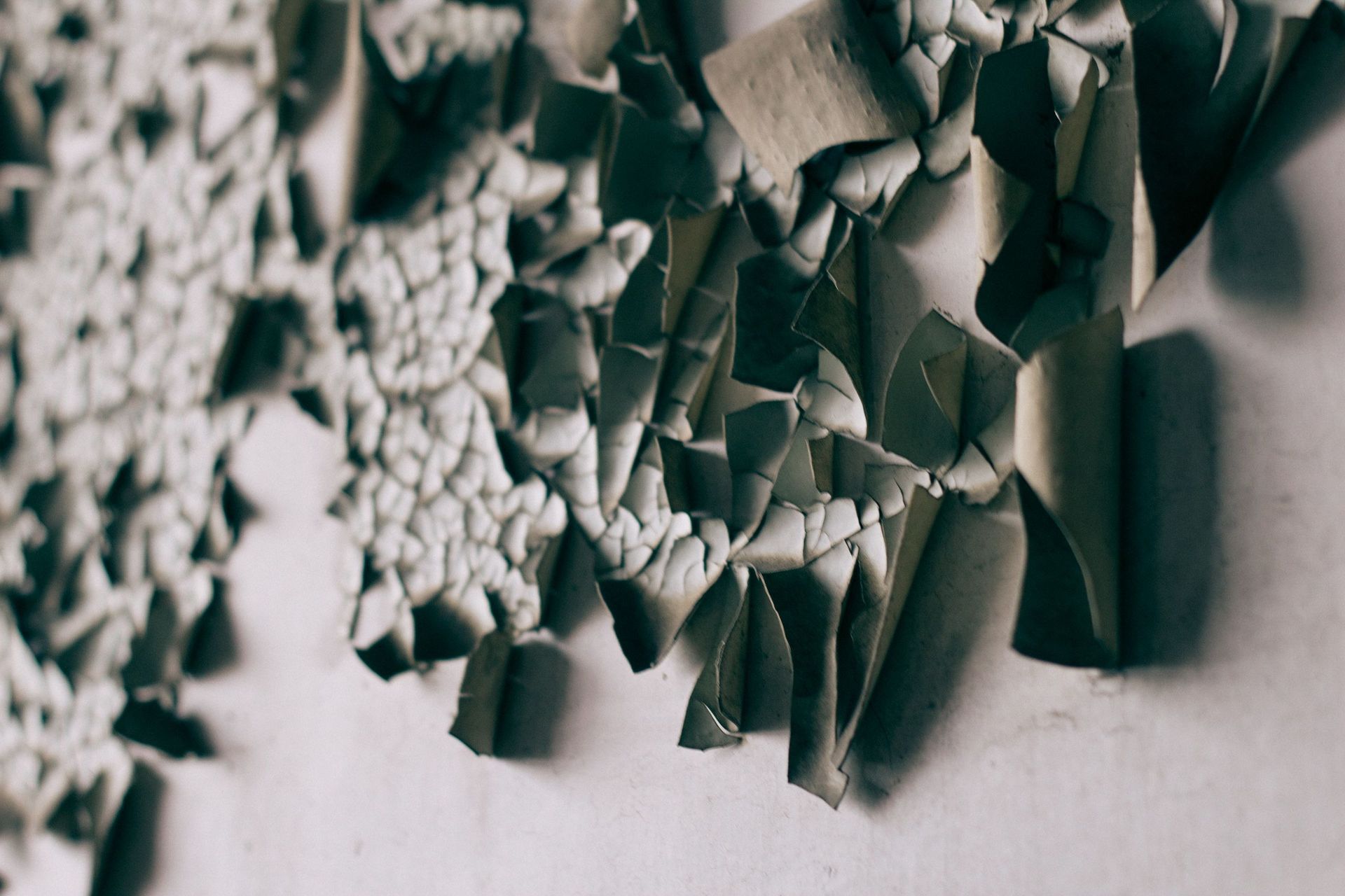 Close-up of torn gray paper pieces scattered in a textured abstract pattern