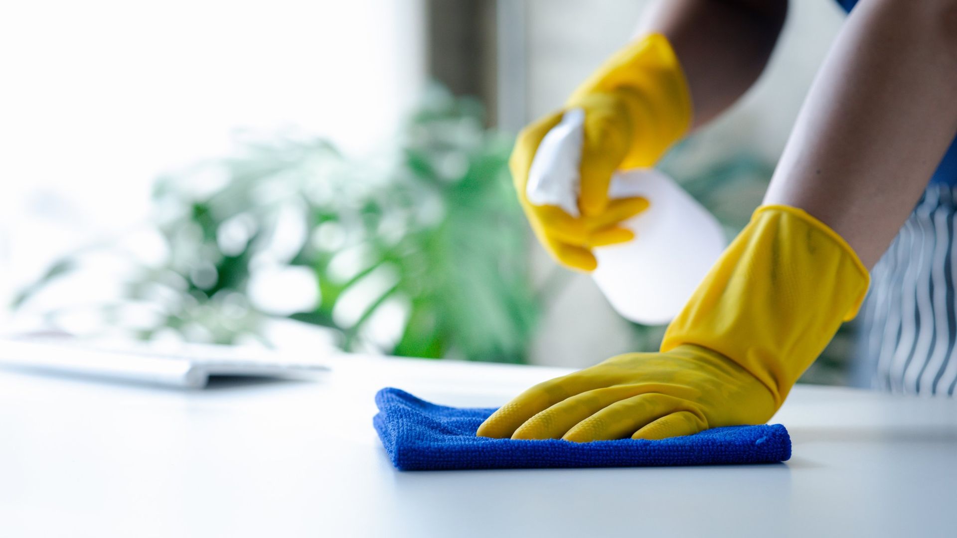 Hands in blue nitrile gloves spray and wipe a dark surface with a cleaning cloth.