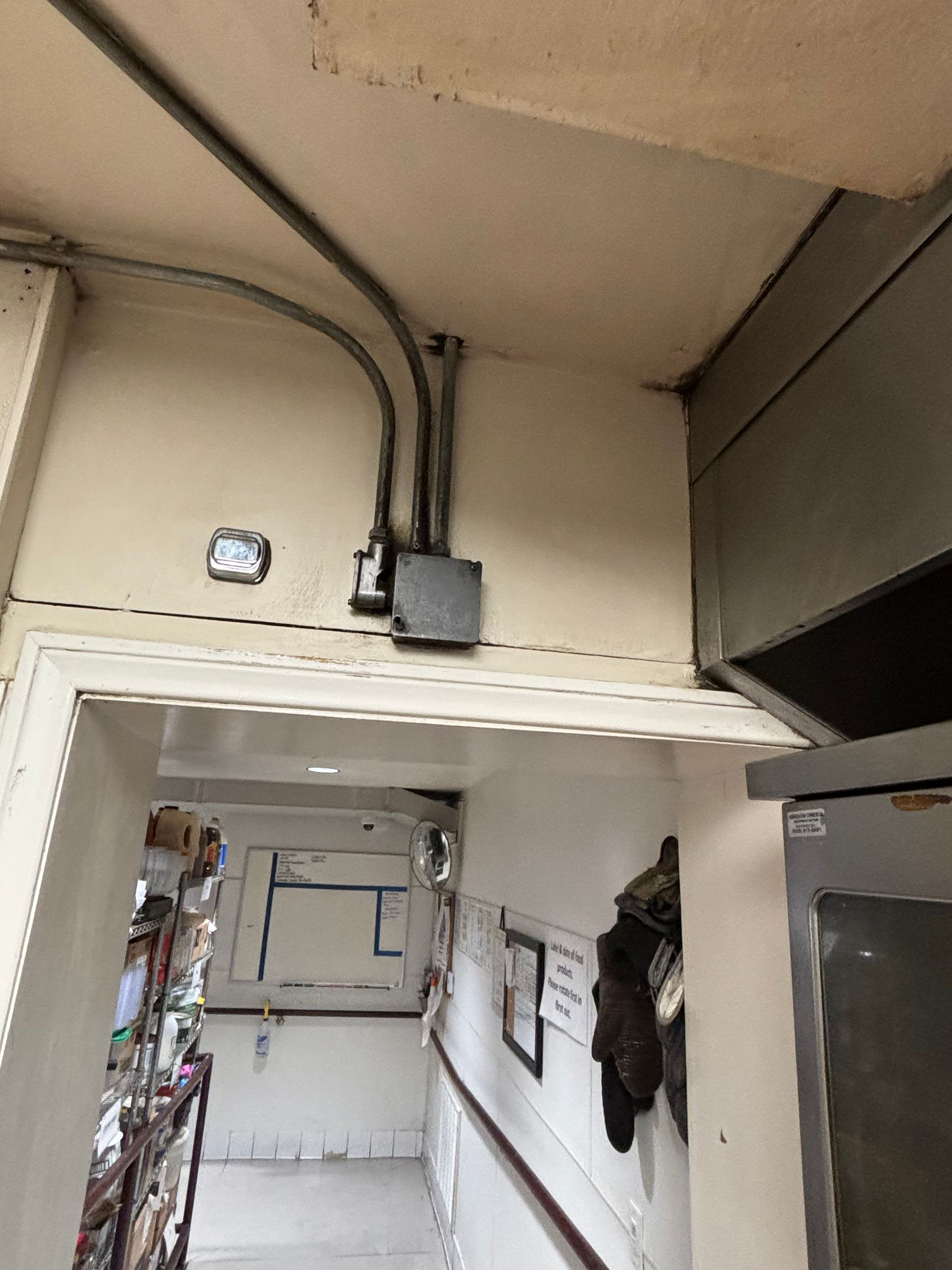 A hand in a yellow rubber glove uses a gray cloth to wipe a white toilet seat, with a vase of yellow tulips nearby.