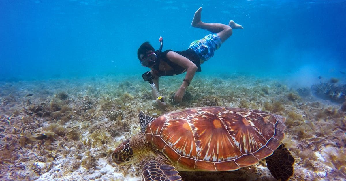 A man is swimming next to a sea turtle in the ocean.