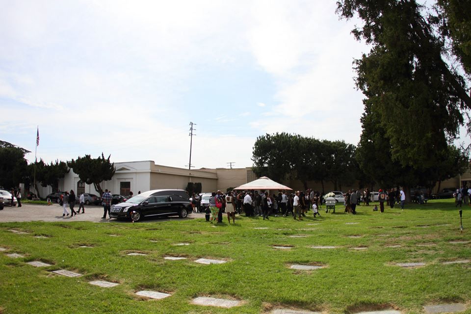 People gathered on a grassy field near parked cars and trees under a partly cloudy sky.