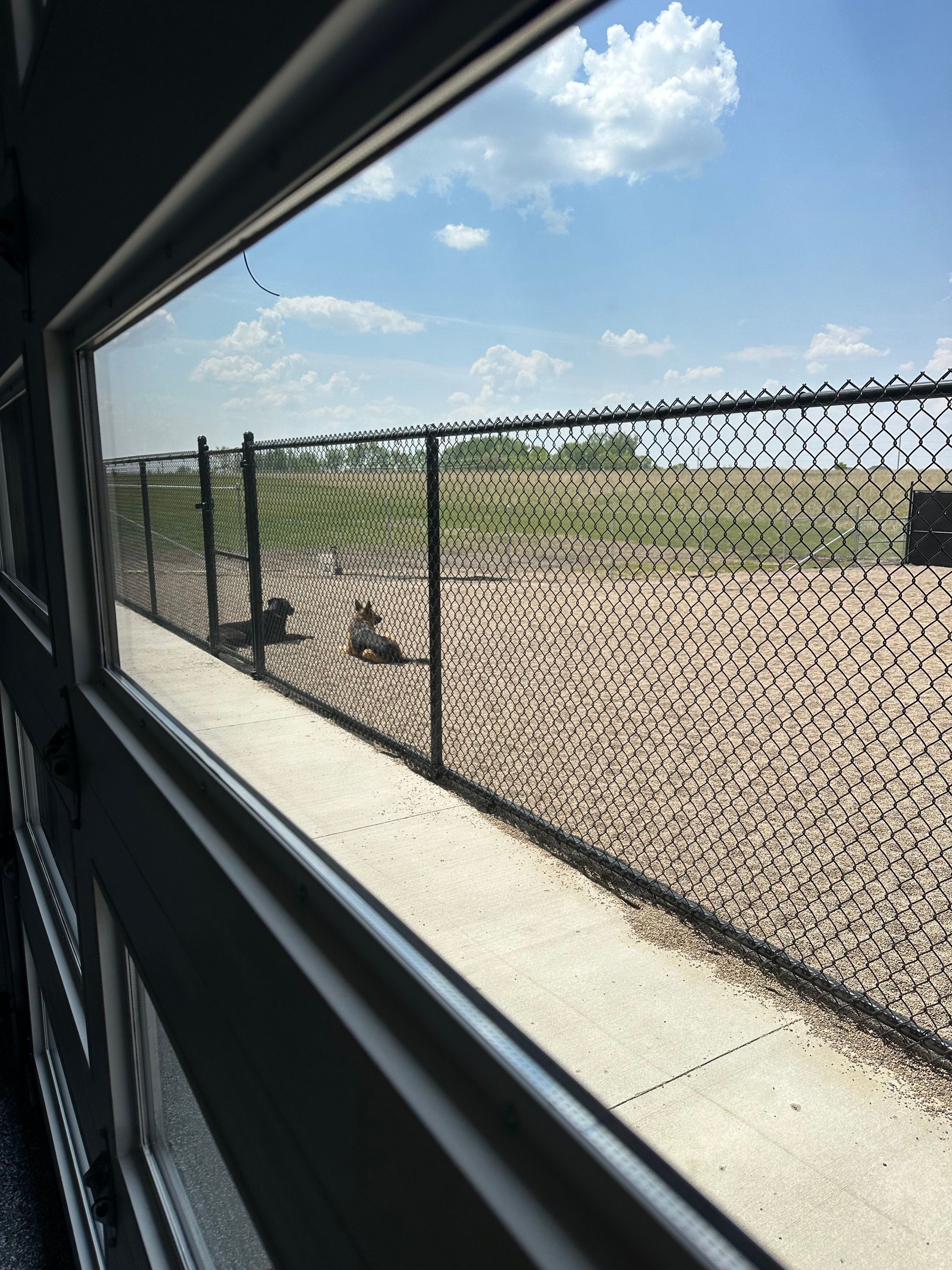 View through a window of a fenced dog park with a clear sky.