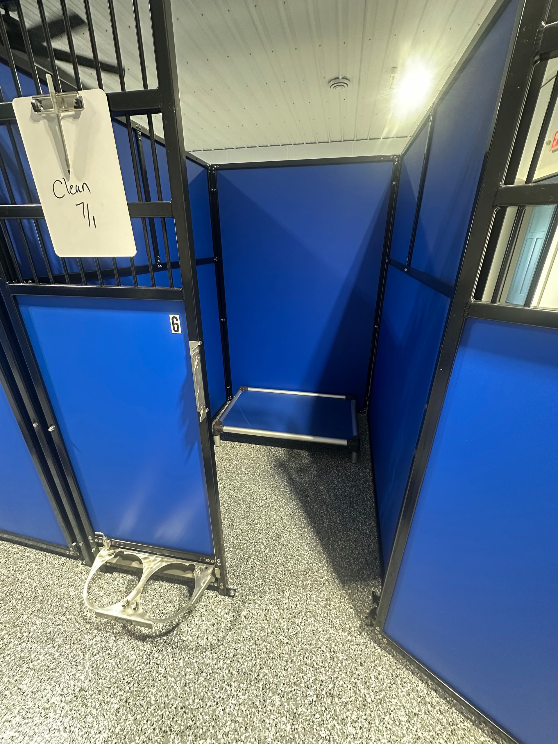 Dog kennel interior with blue walls, a metal platform, and a speckled floor.