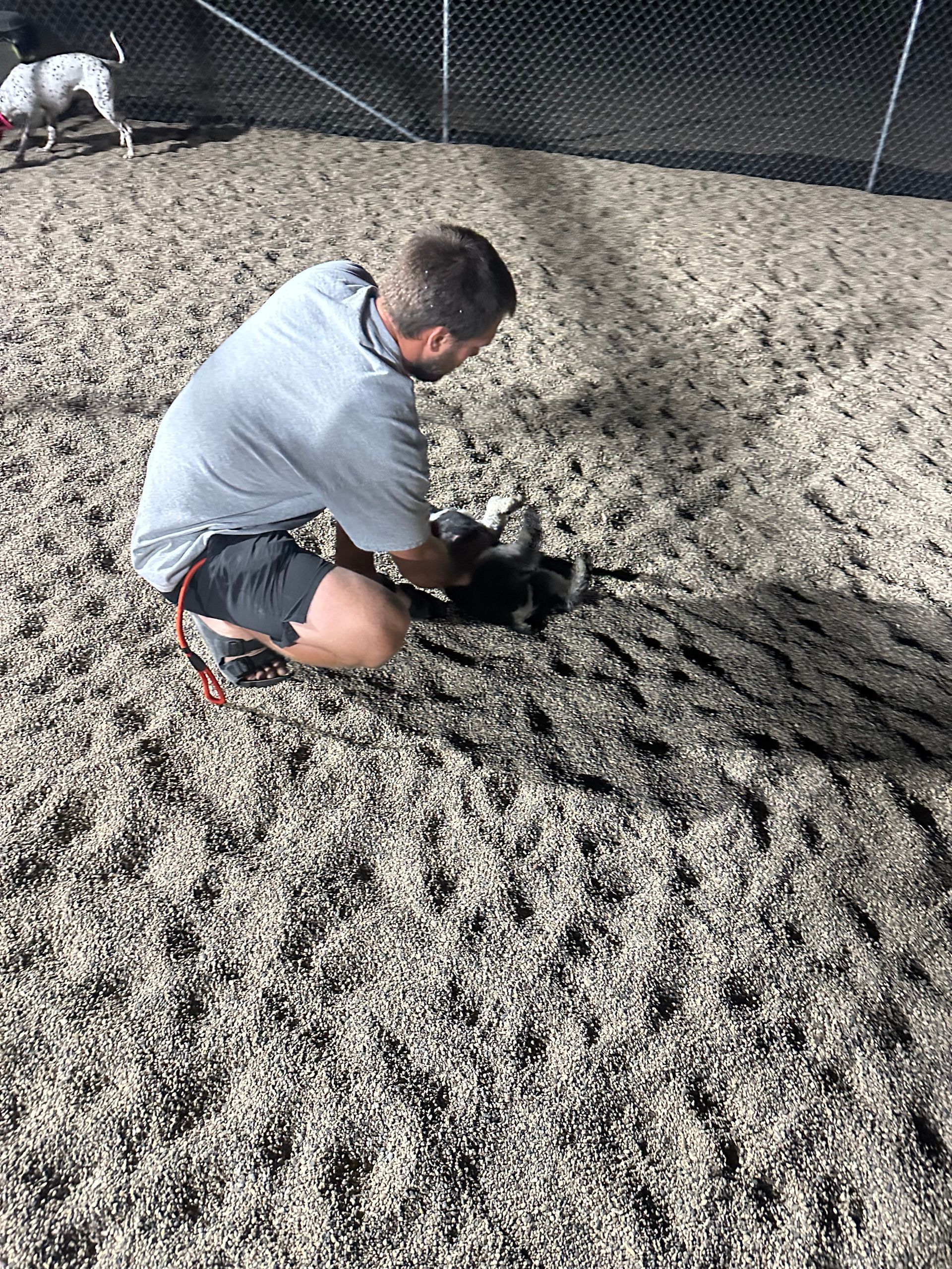 Man kneeling, petting a black dog in a wood chip-covered dog park.