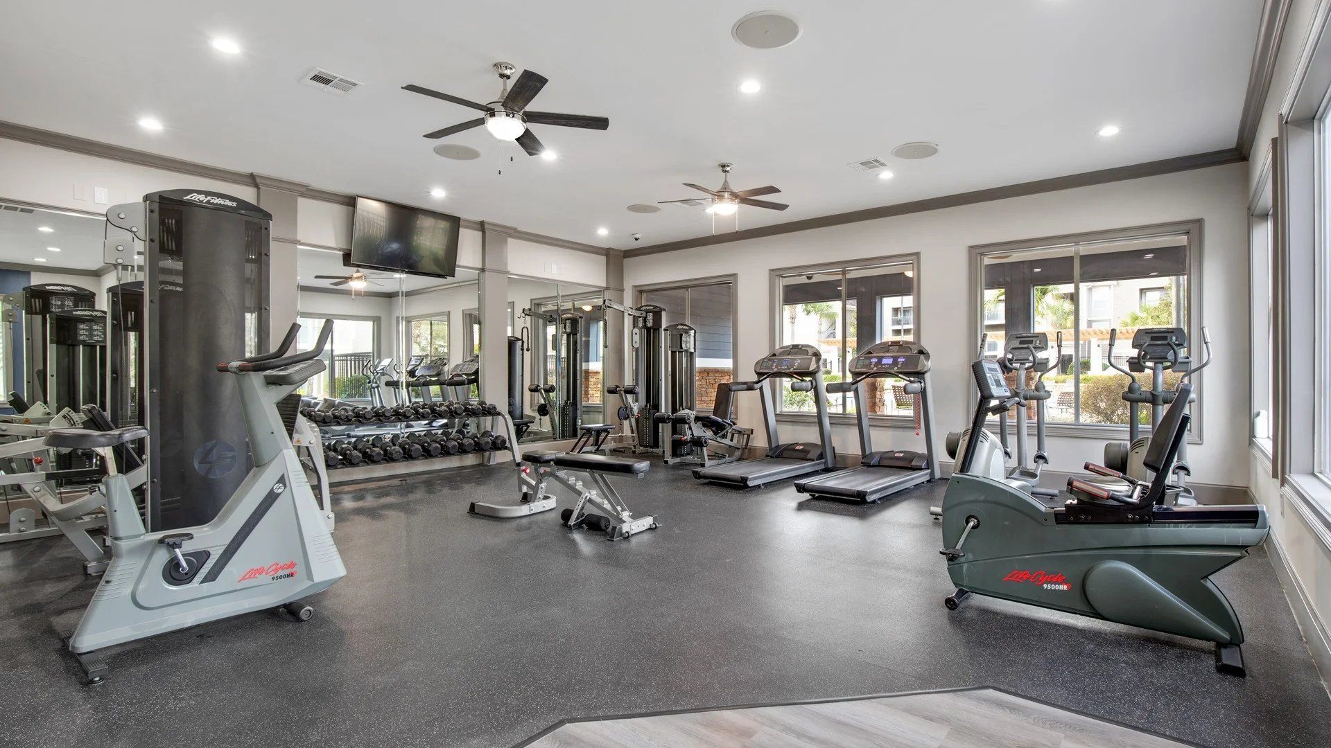 Modern gym interior with cardio machines, cable equipment, mirrors, and large windows