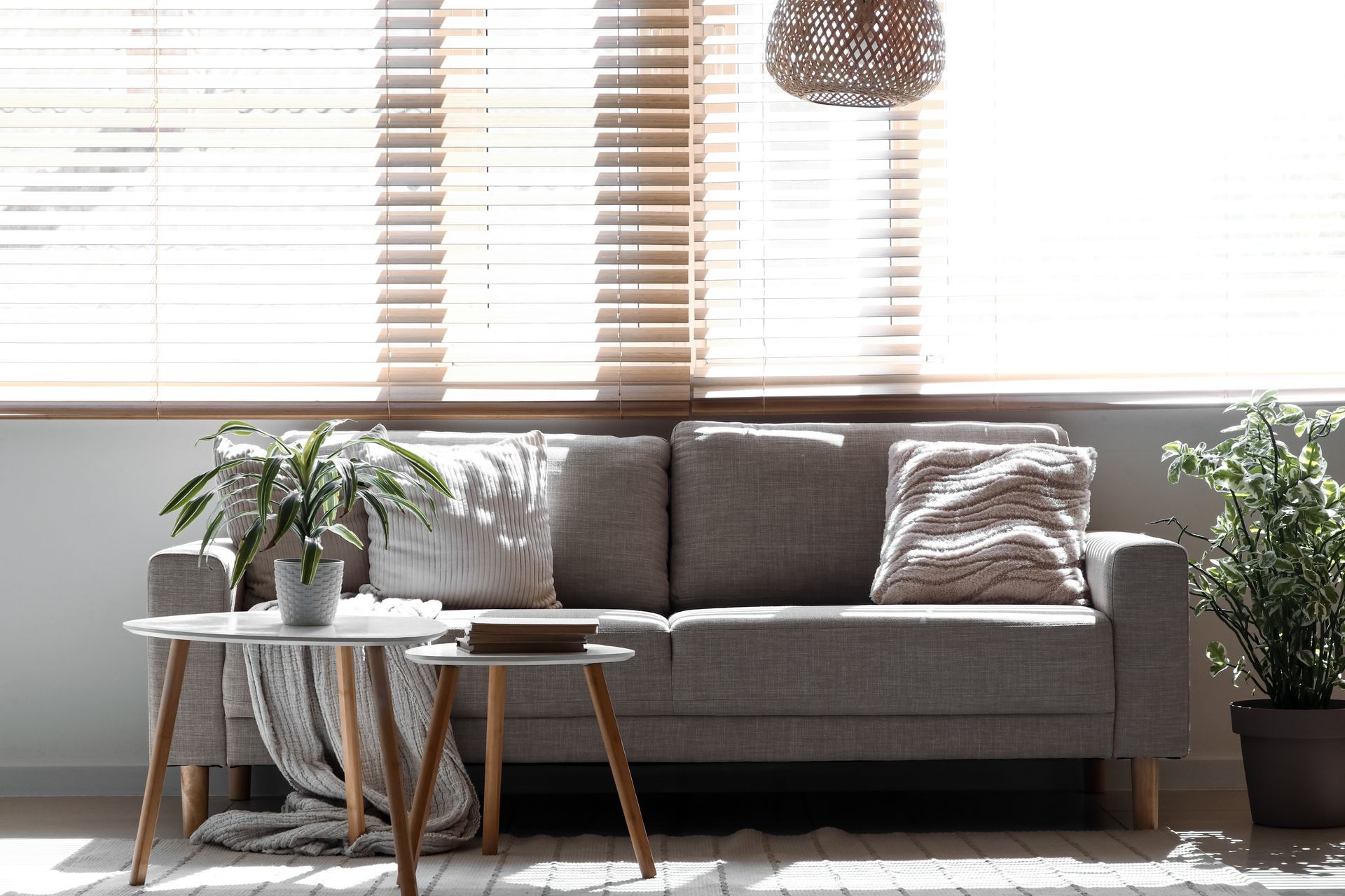 Bright living room with gray sofa, round coffee table, plants, and sunlight through blinds