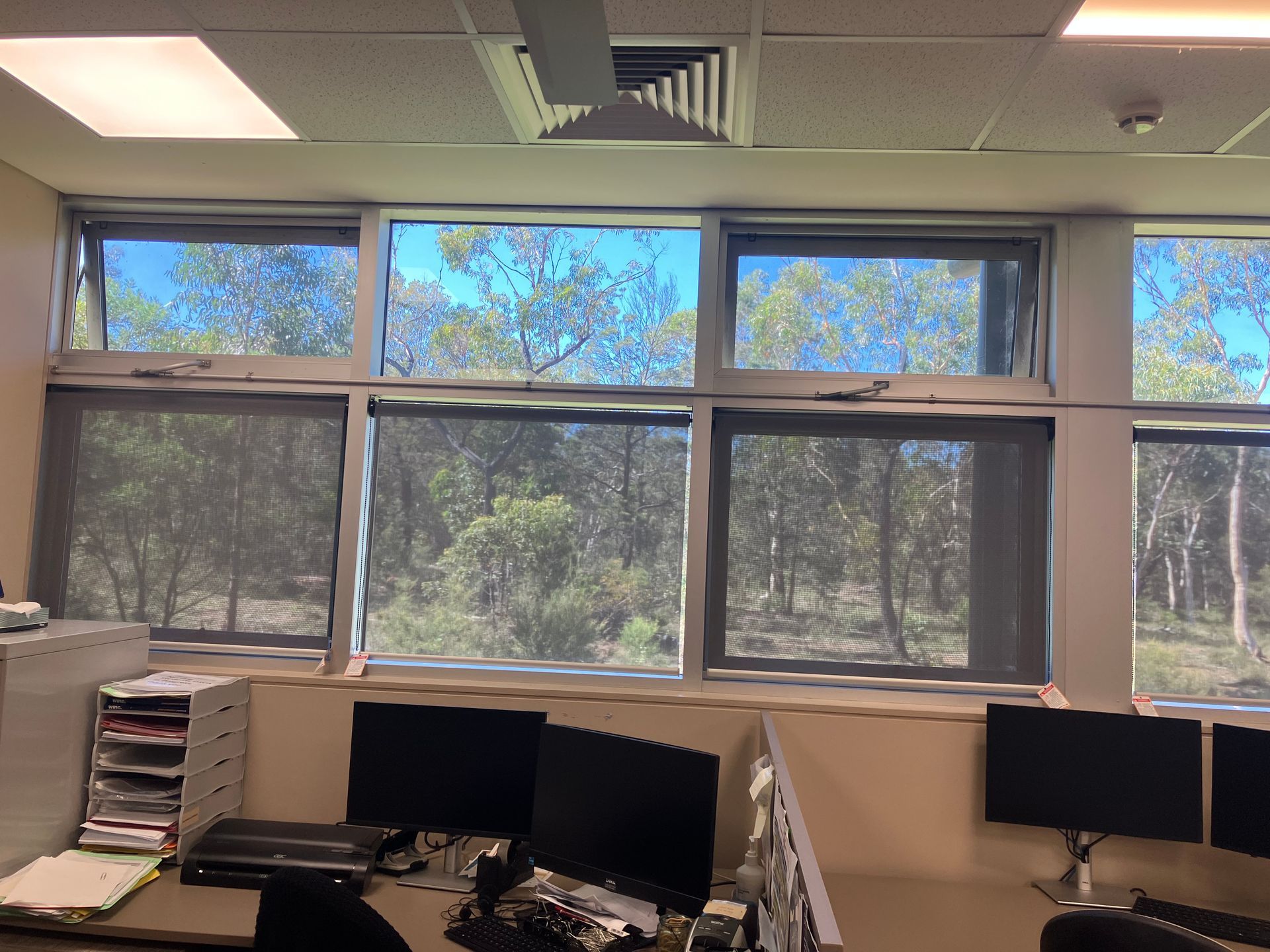 Office cubicles with desks and computer monitors beneath large windows and fluorescent ceiling lights