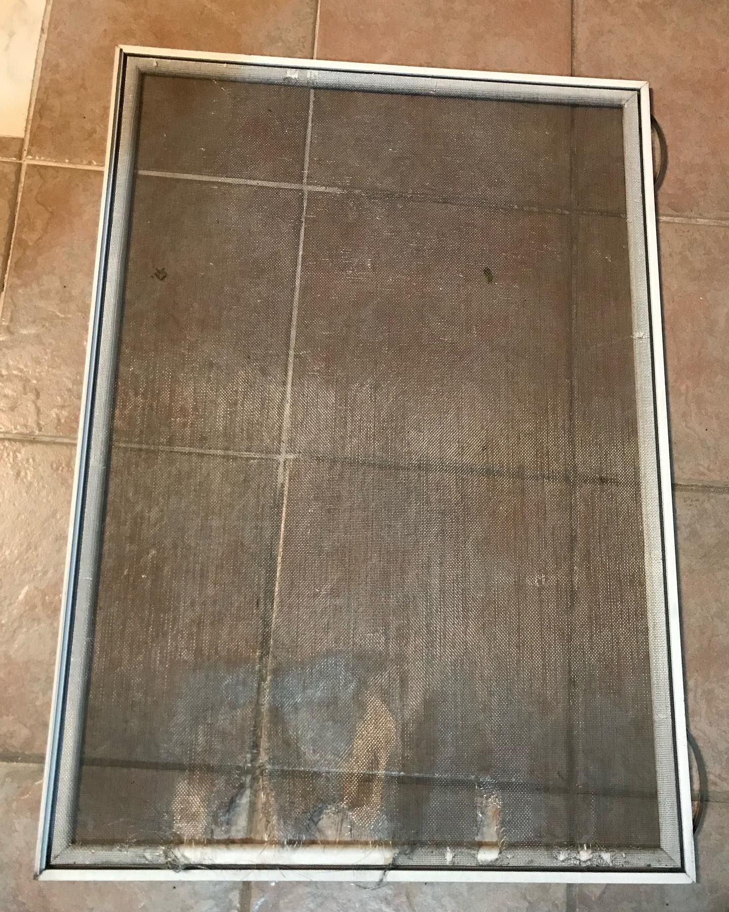 Rectangular window screen on a tiled floor, white frame, gray mesh, dirty.