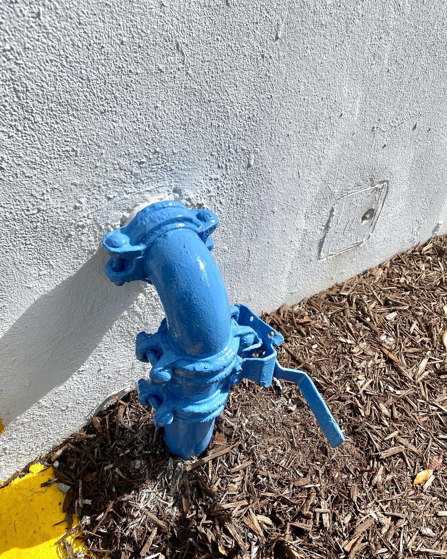 Blue fire hydrant next to a textured gray wall and mulch ground.