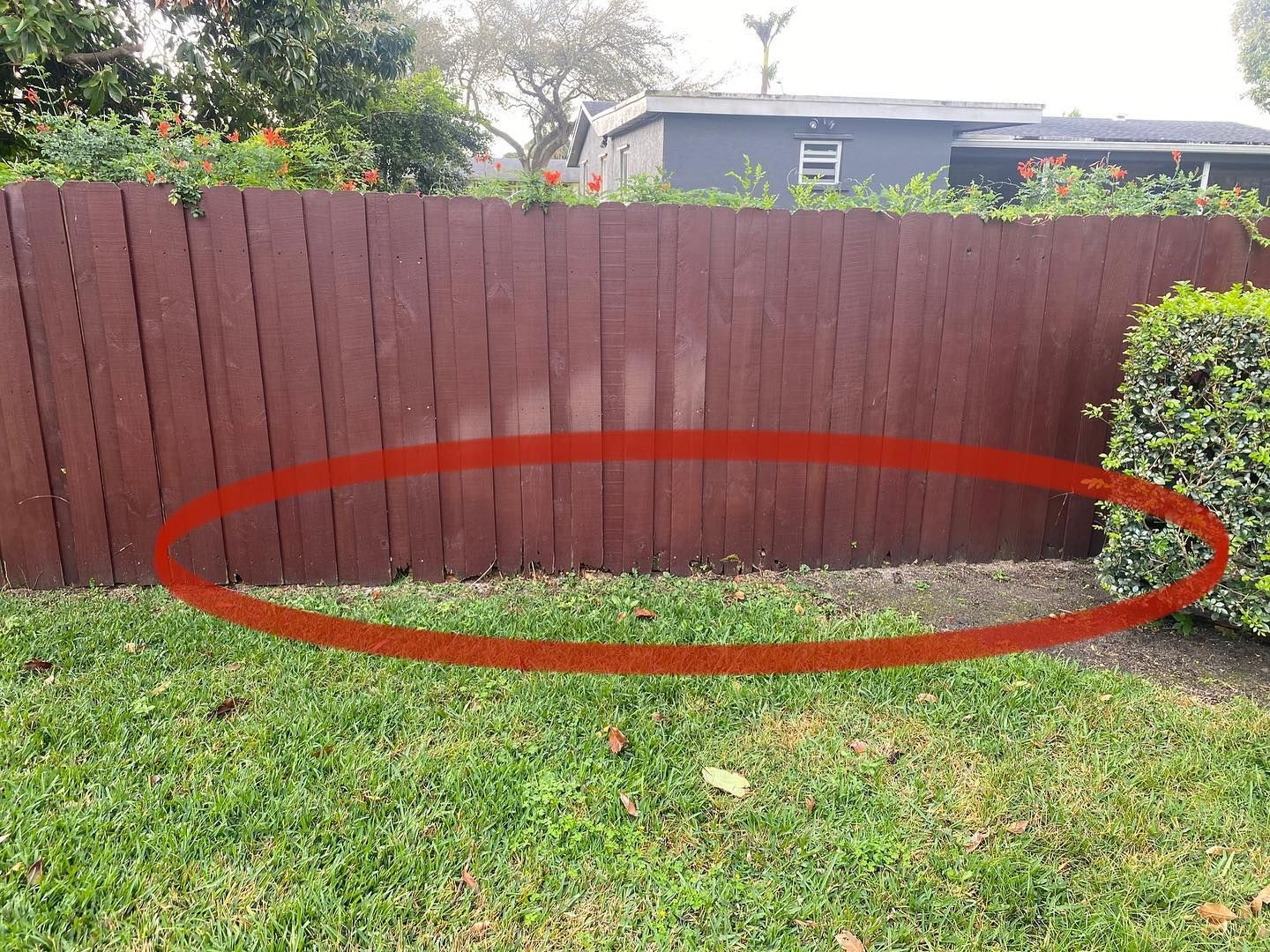 Red wooden fence with a brown stain, bordered by grass and gravel.