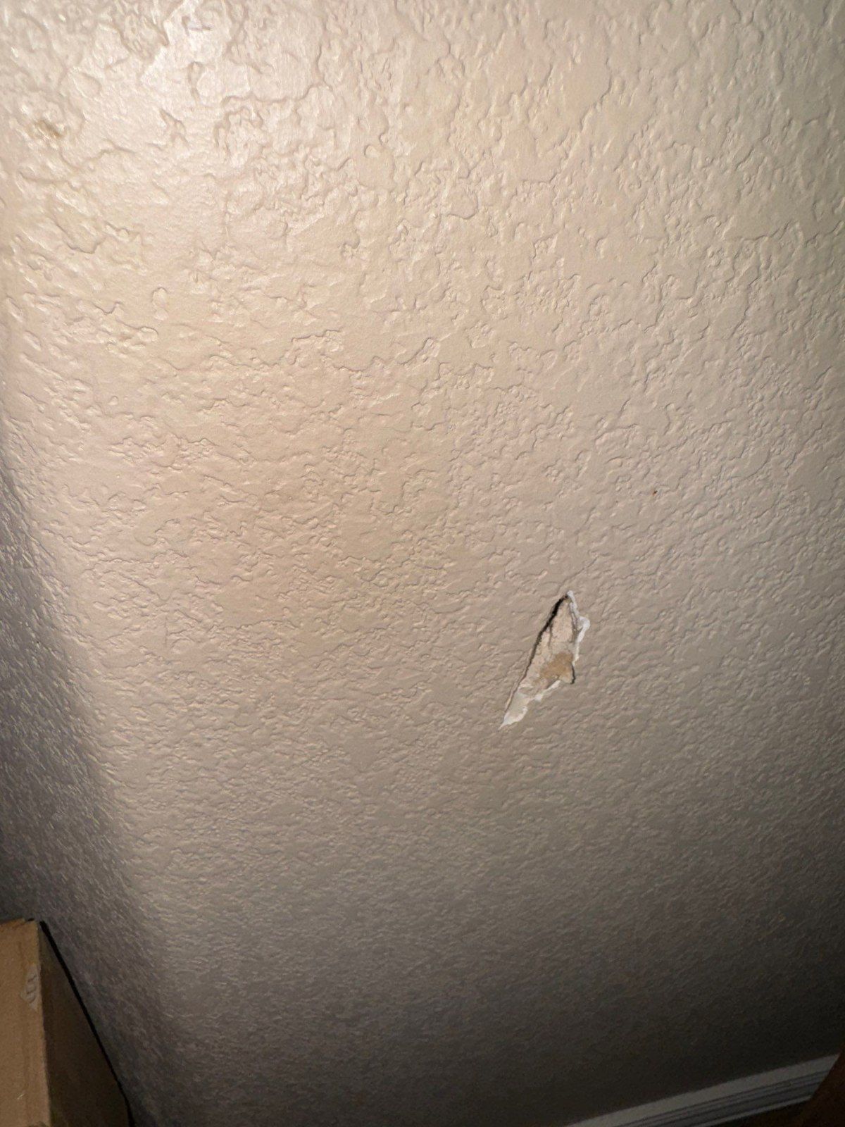 Localized defect in an interior textured finish photographed for the same estimate