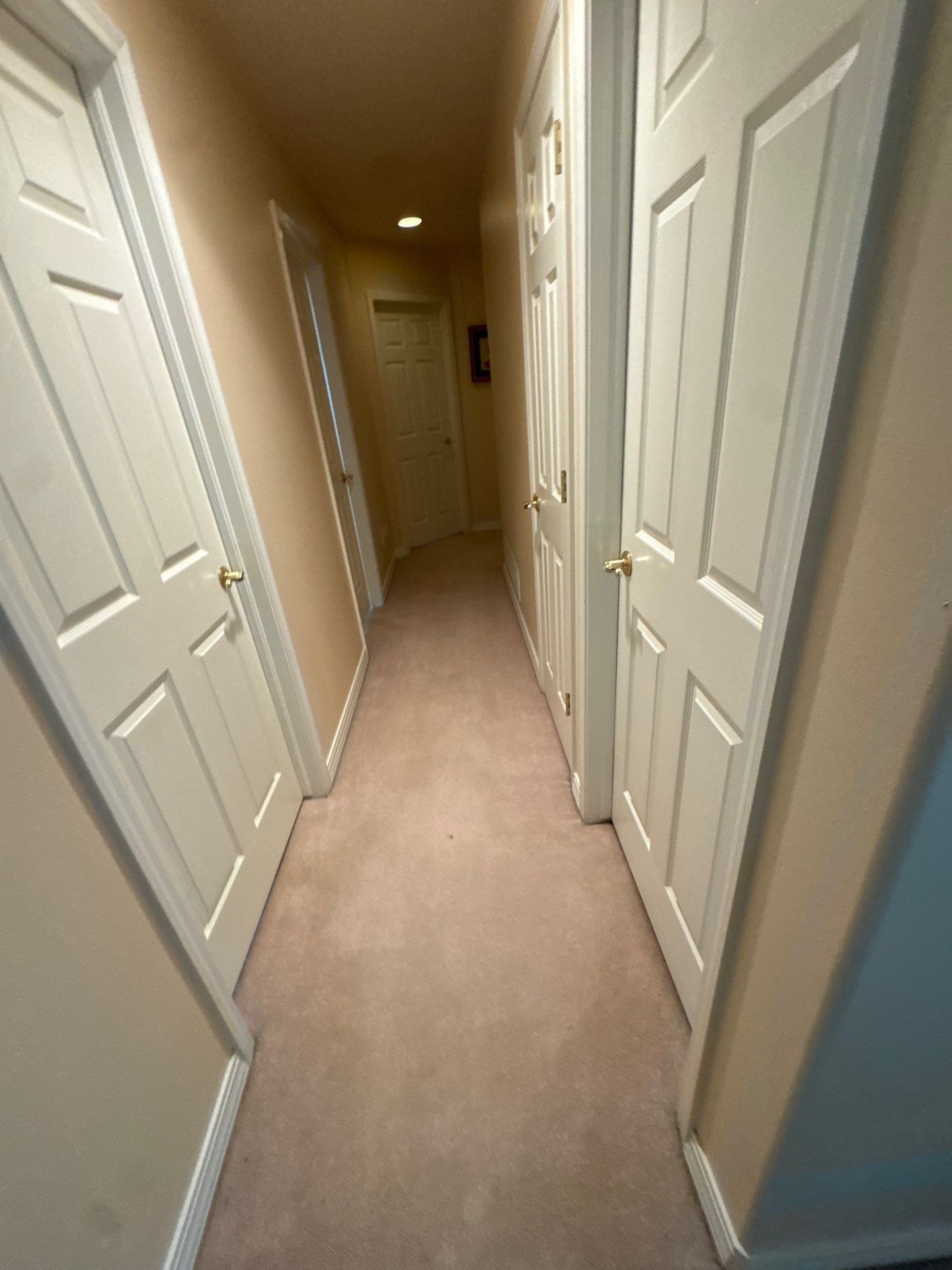 Carpeted upstairs hallway with doors and baseboards in the same Monument painting estimate