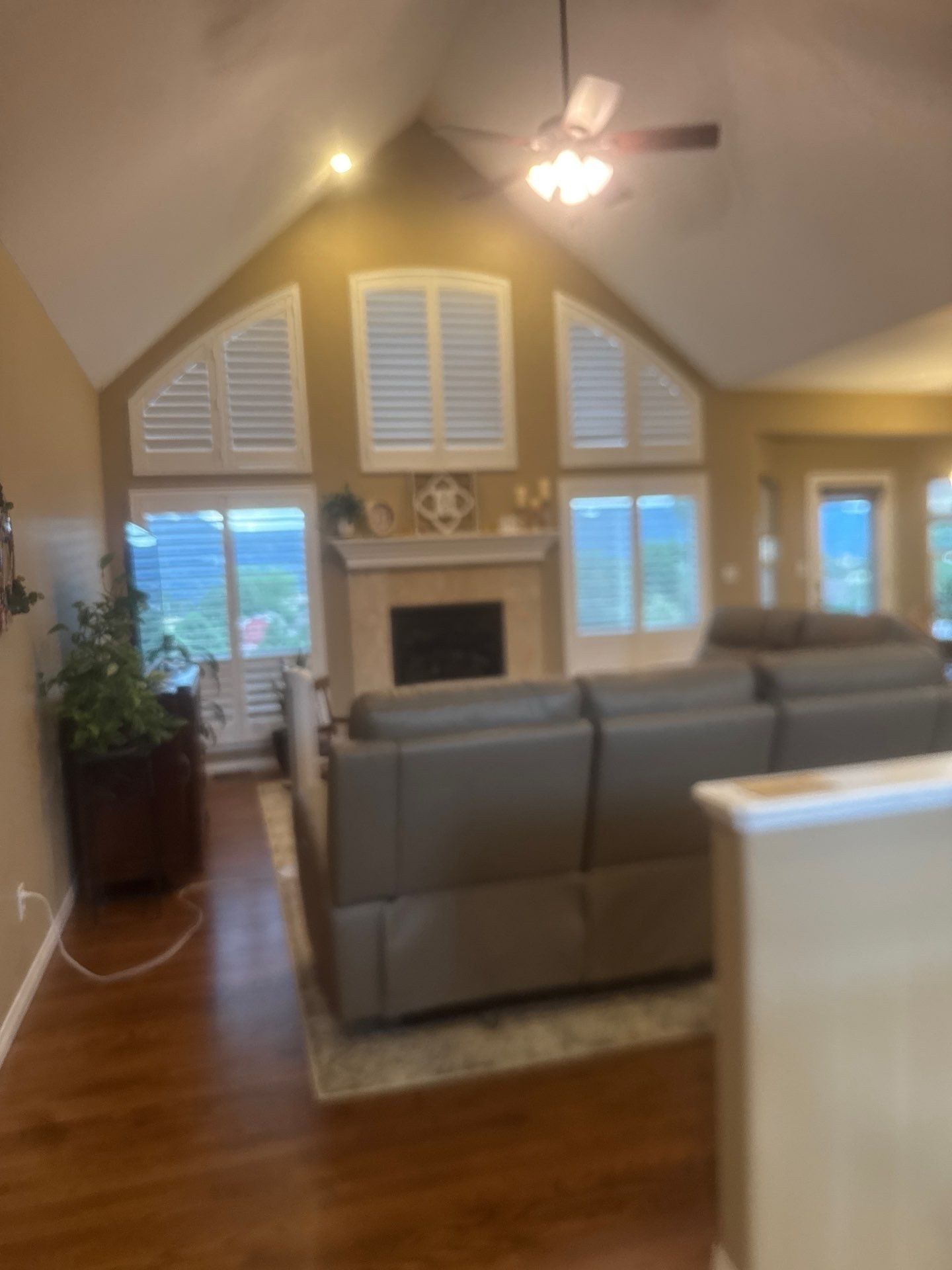 Occupied living-room walls and furniture in a different Carroll Painting interior estimate