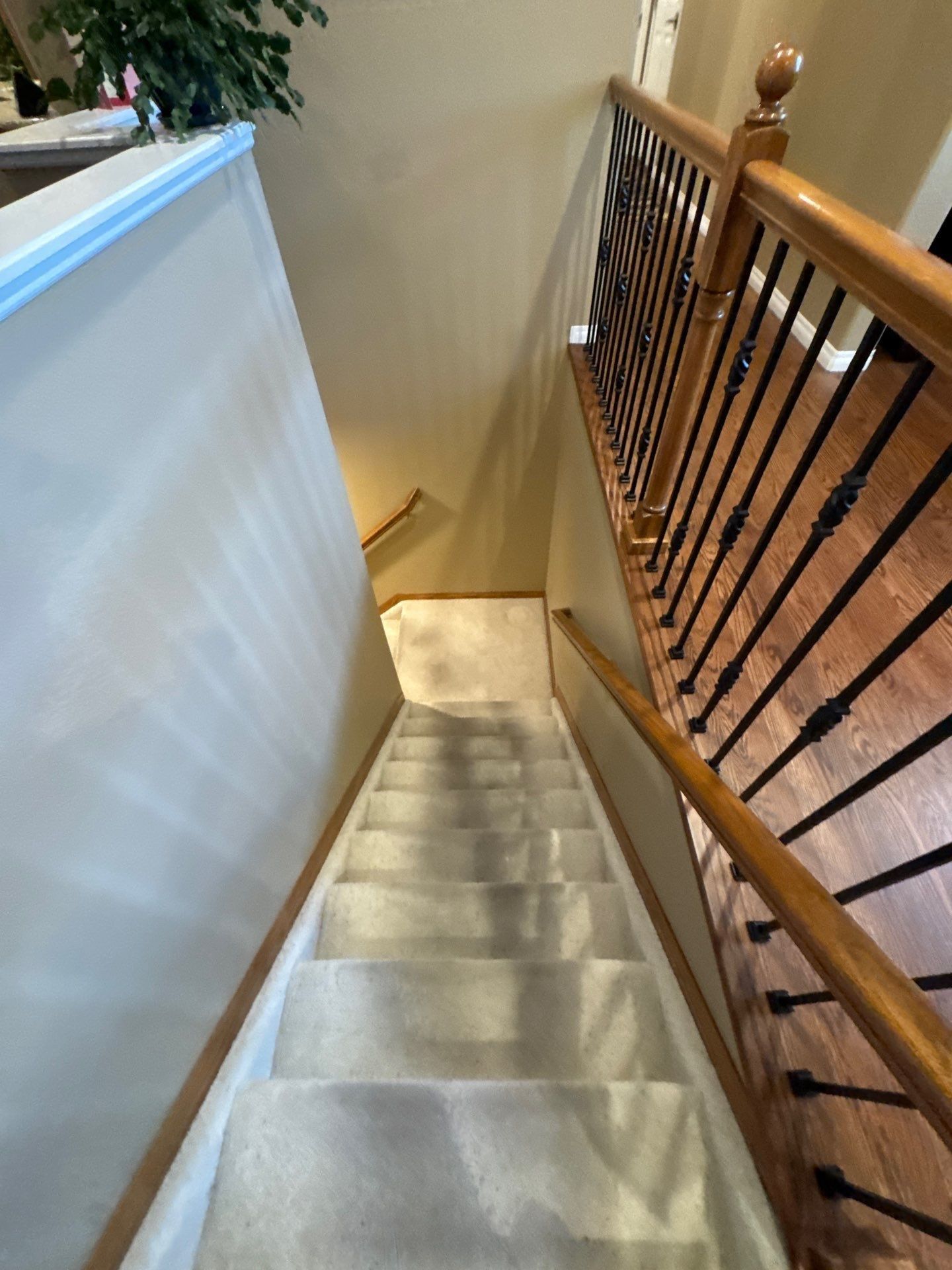 Protective covering on carpeted stairs beside a retained wood railing in the same Carroll interior estimate