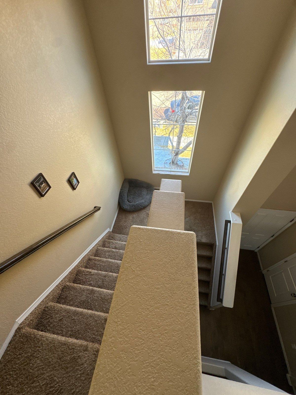 Carpeted stairwell with light walls, windows and handrail in the same Colorado Springs home