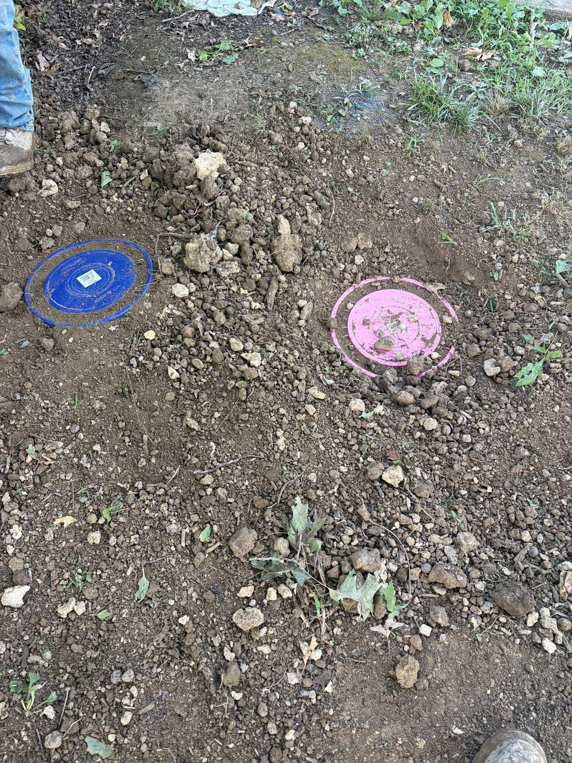Two colorful circular markers, blue and pink, on a dirt patch outdoors