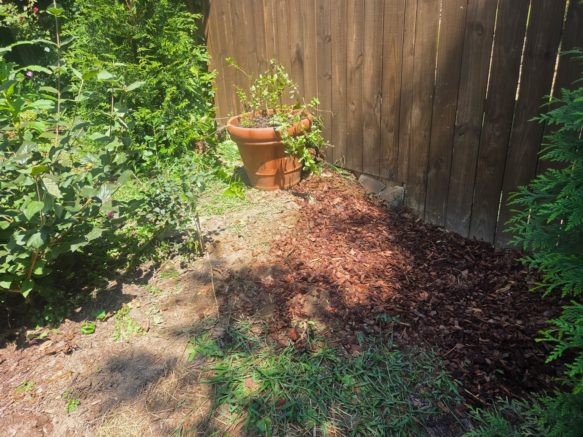 Garden bed with mulch and green plants beside a wooden fence, with a terracotta pot on a stump